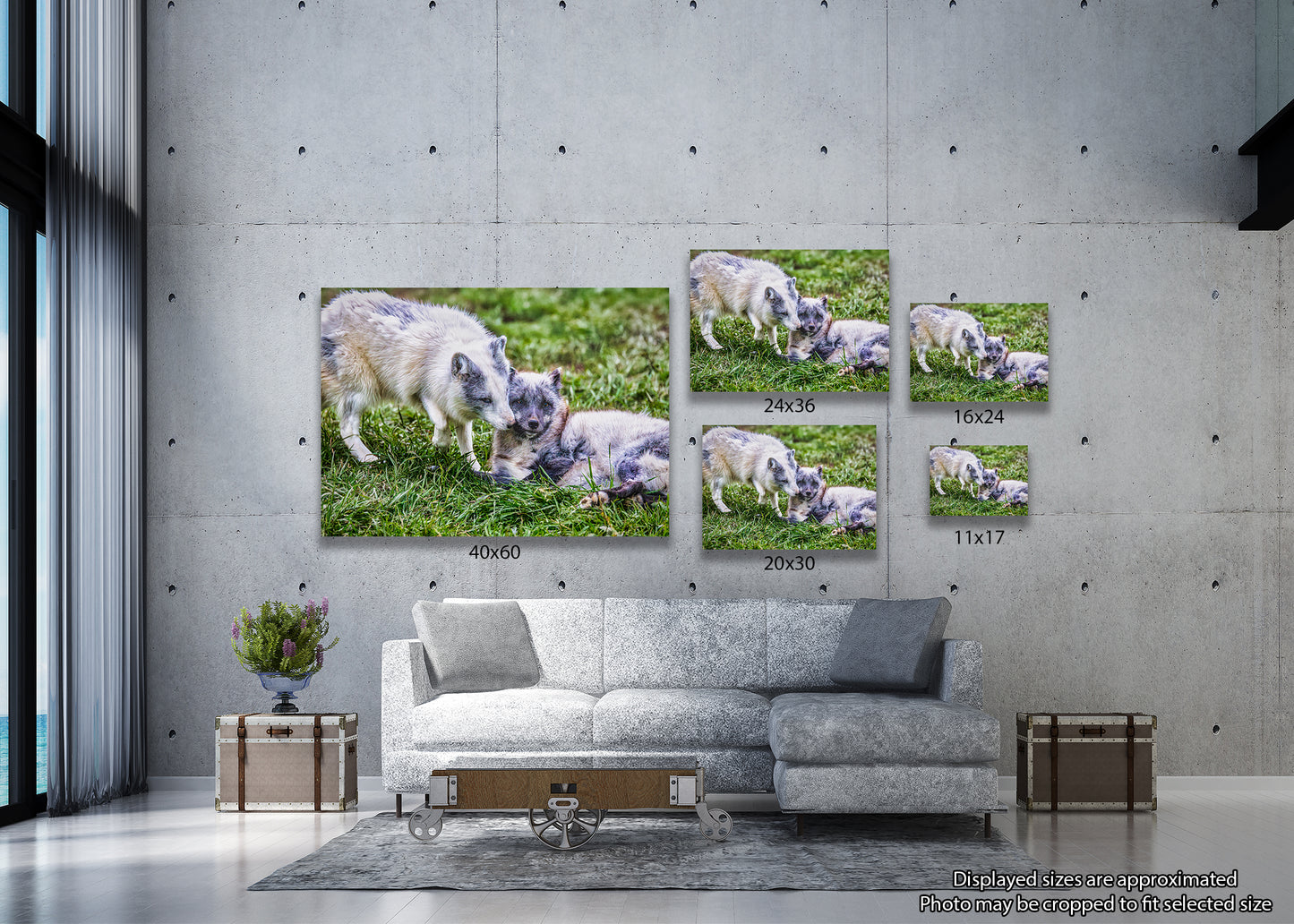 Amor de cachorro en el Ártico