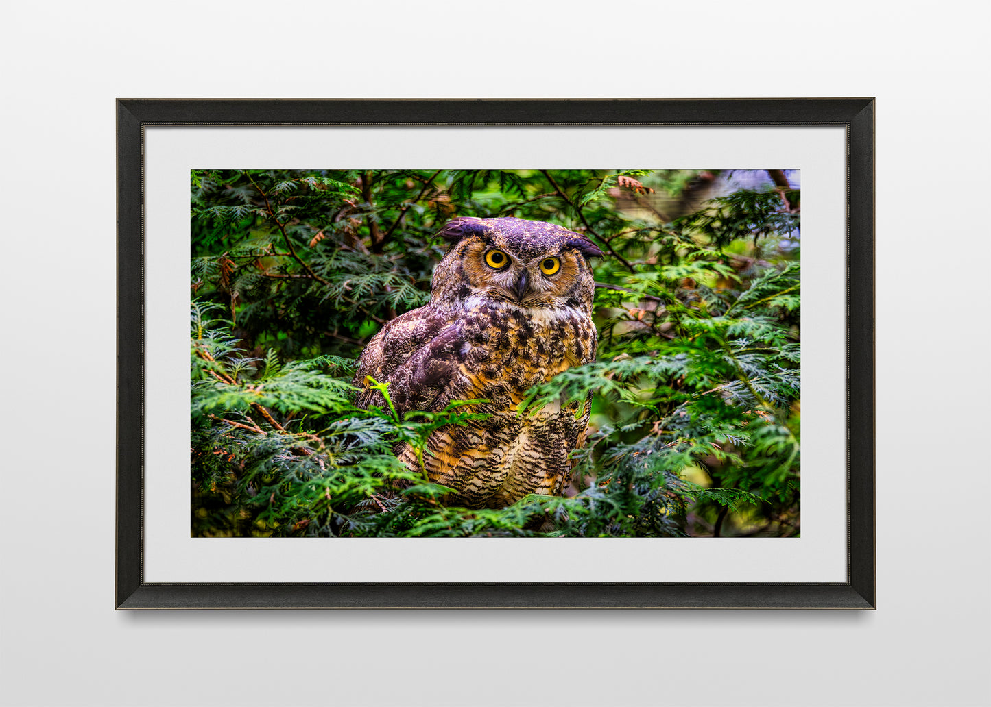 Hooting Hunter in Hiding