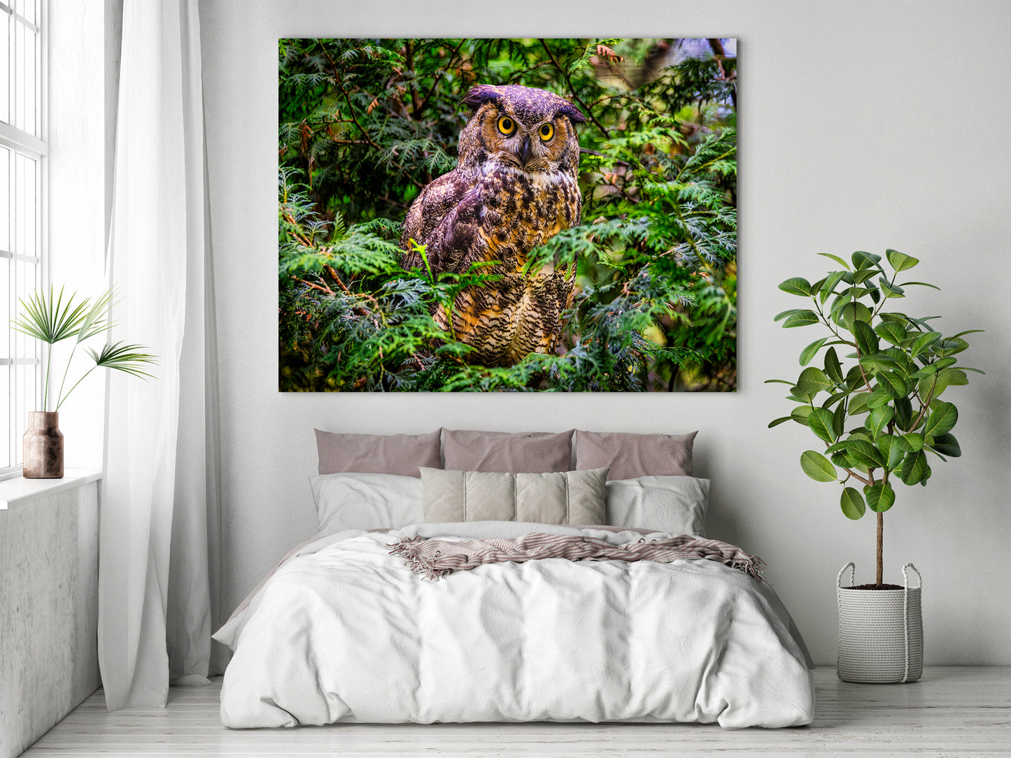 Hooting Hunter in Hiding