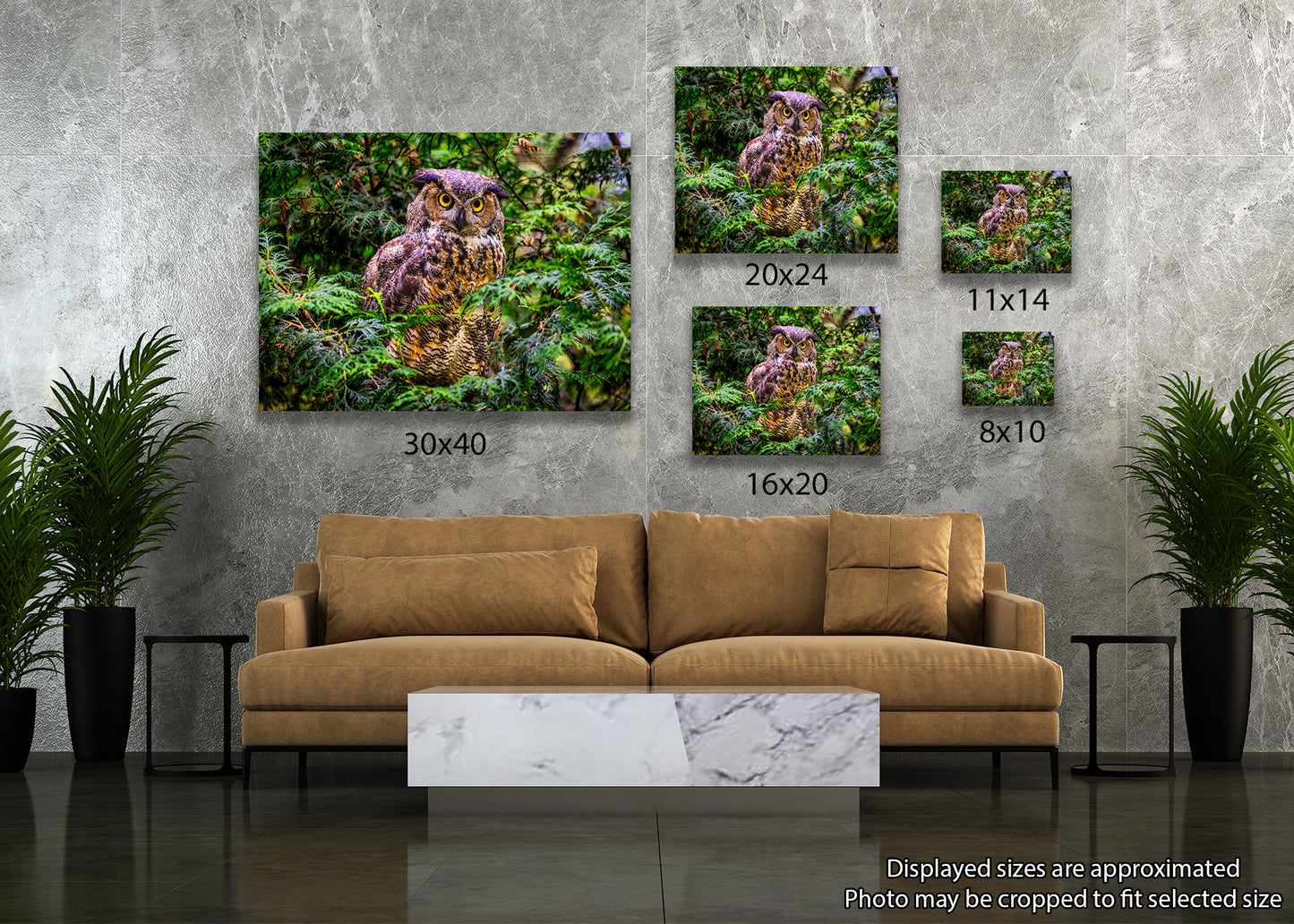 Hooting Hunter in Hiding