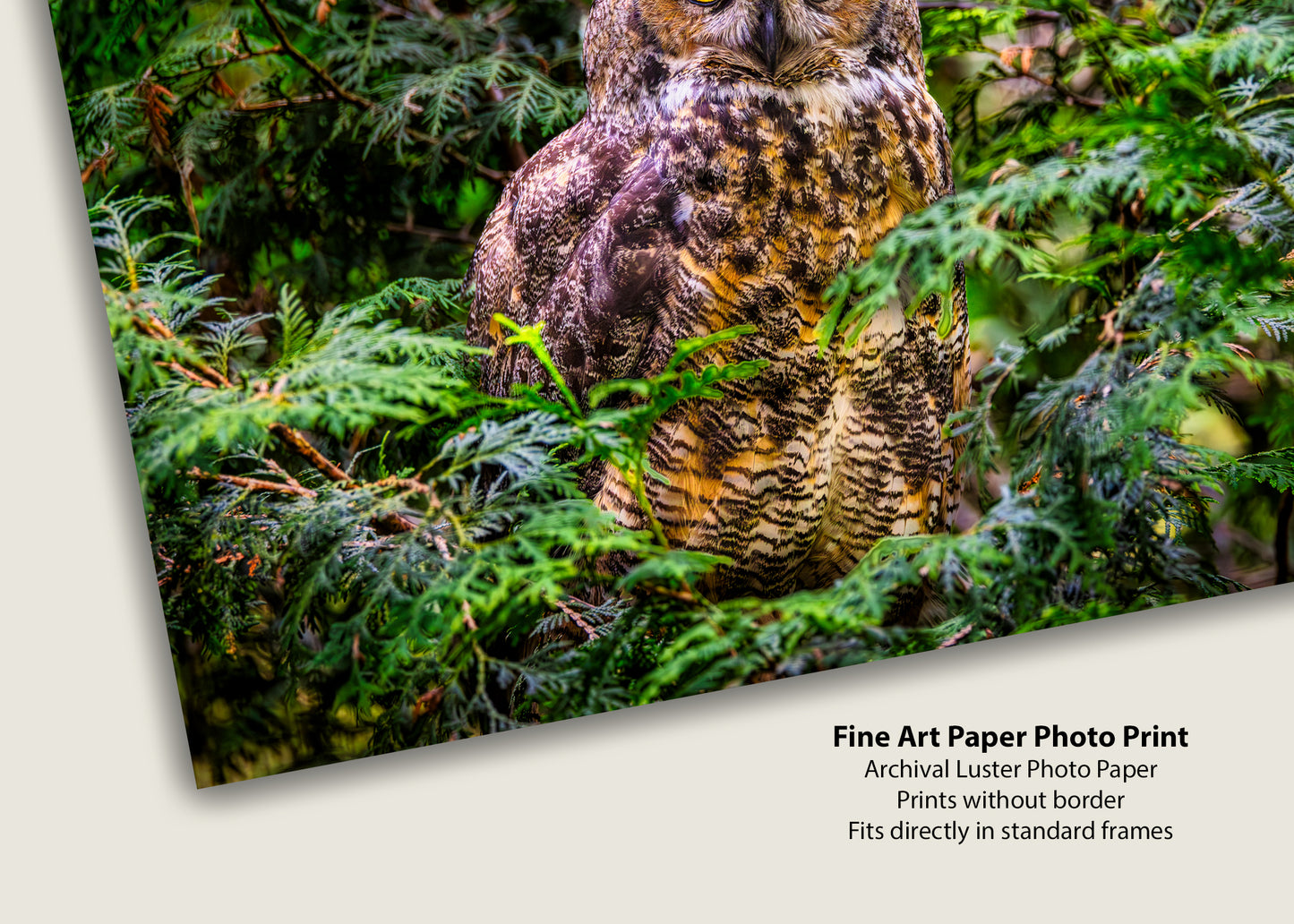 Hooting Hunter in Hiding