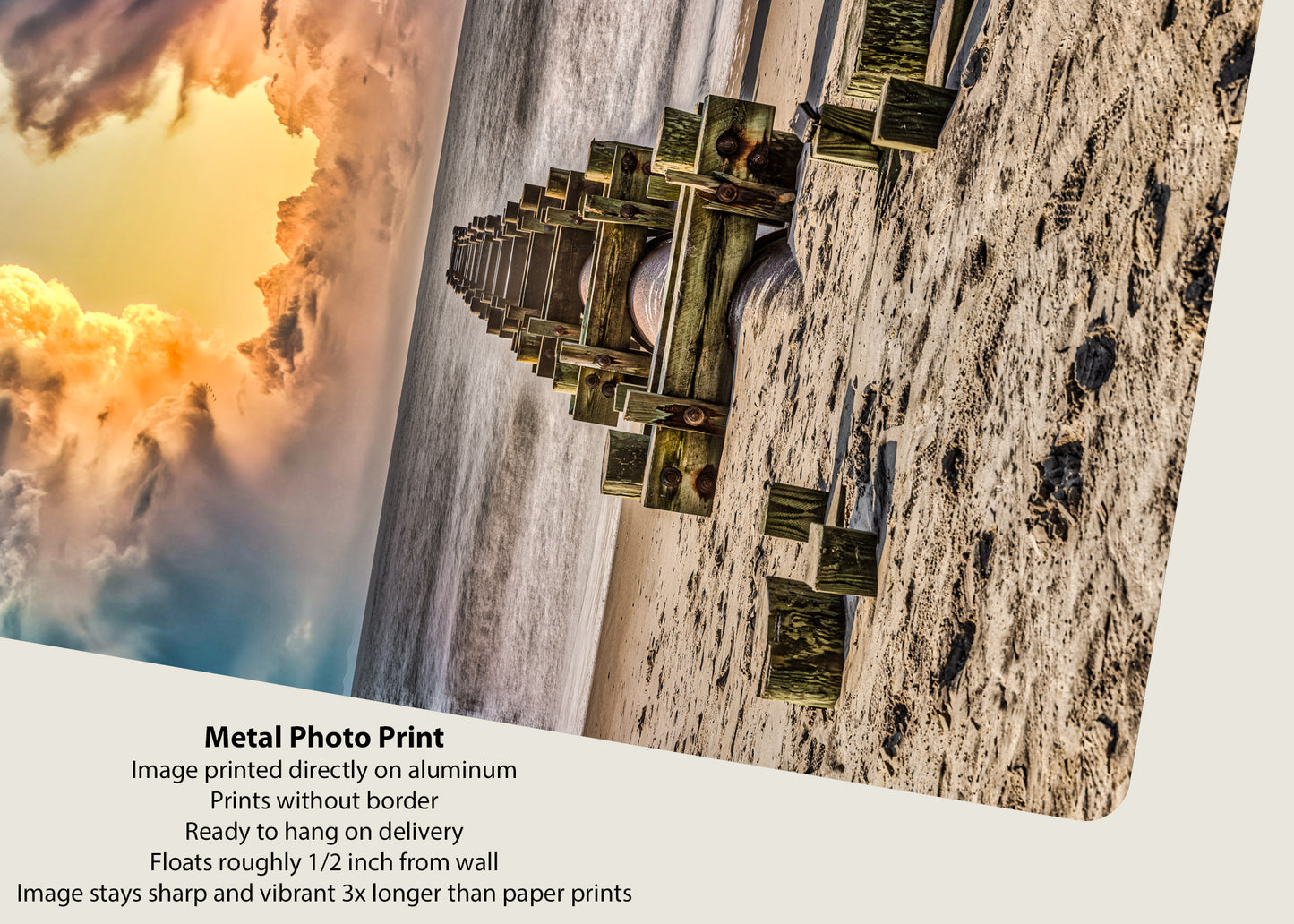 Morning Break at the Jersey Shore