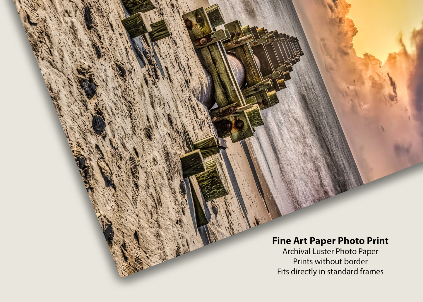 Morning Break at the Jersey Shore