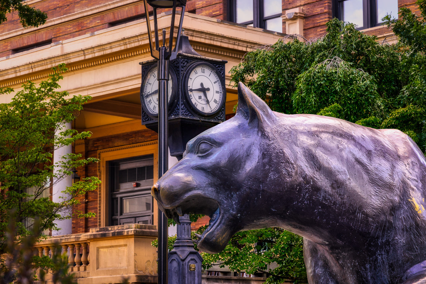 Es hora de poner a Pitt en