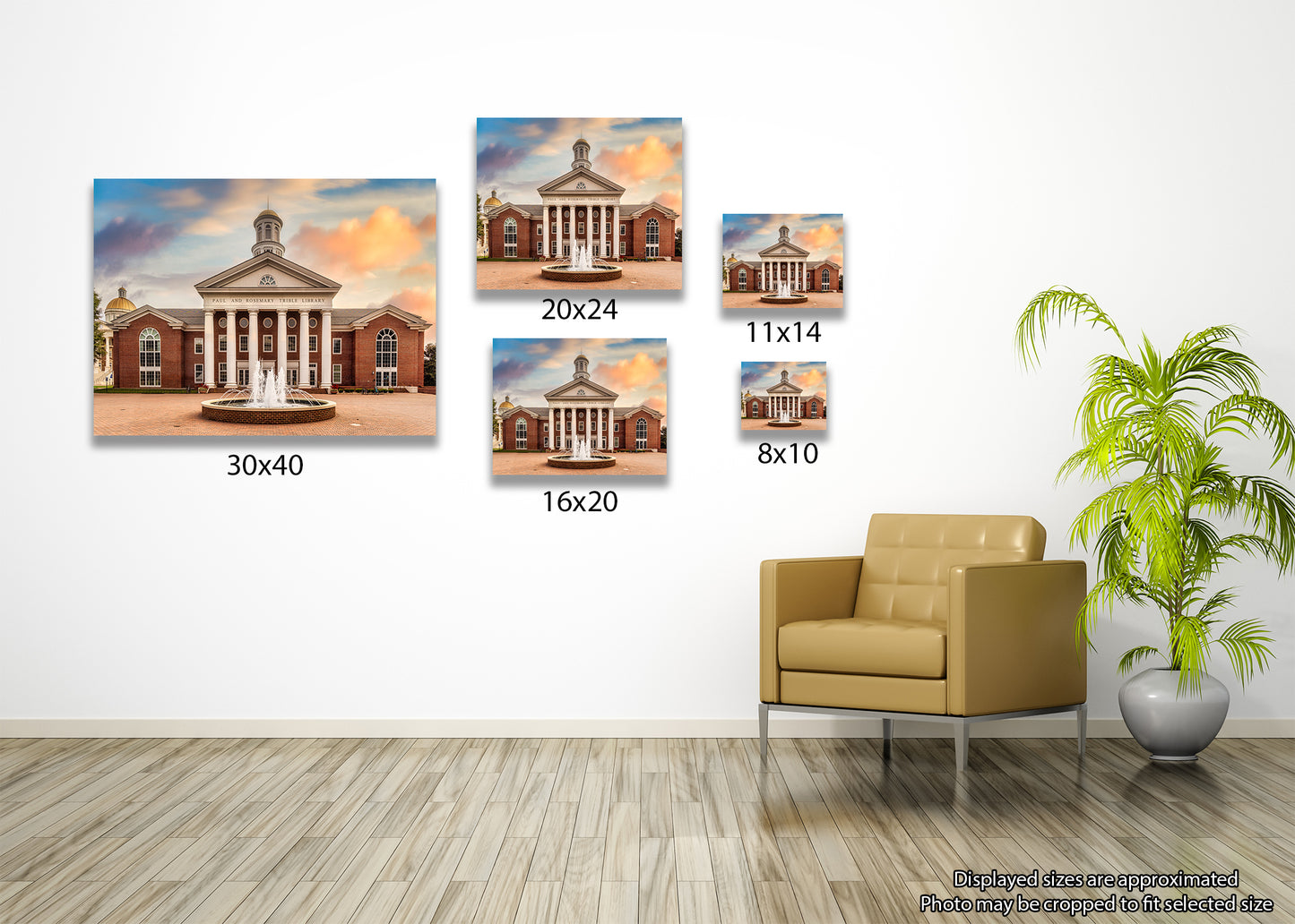 Morning at Trible Library