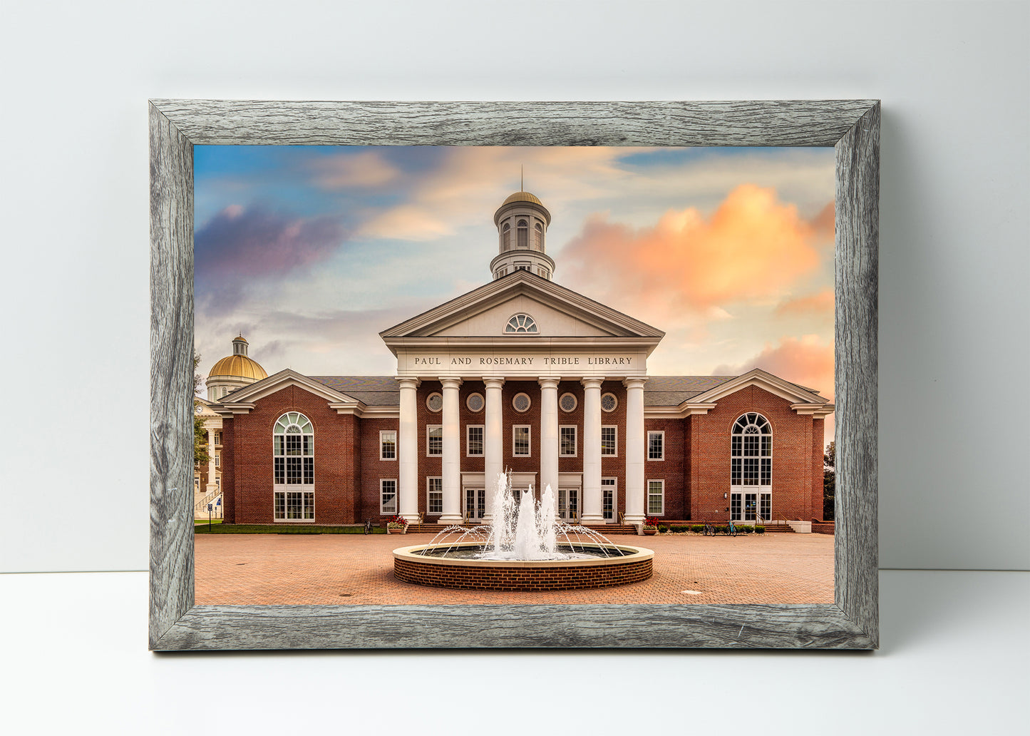 Morning at Trible Library