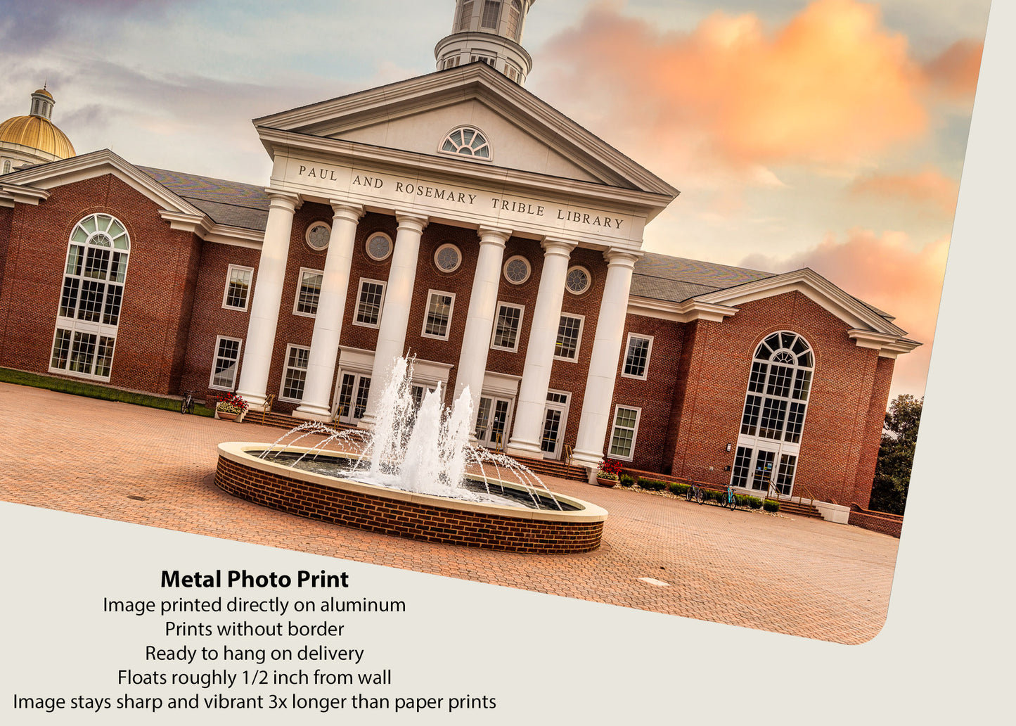 Morning at Trible Library