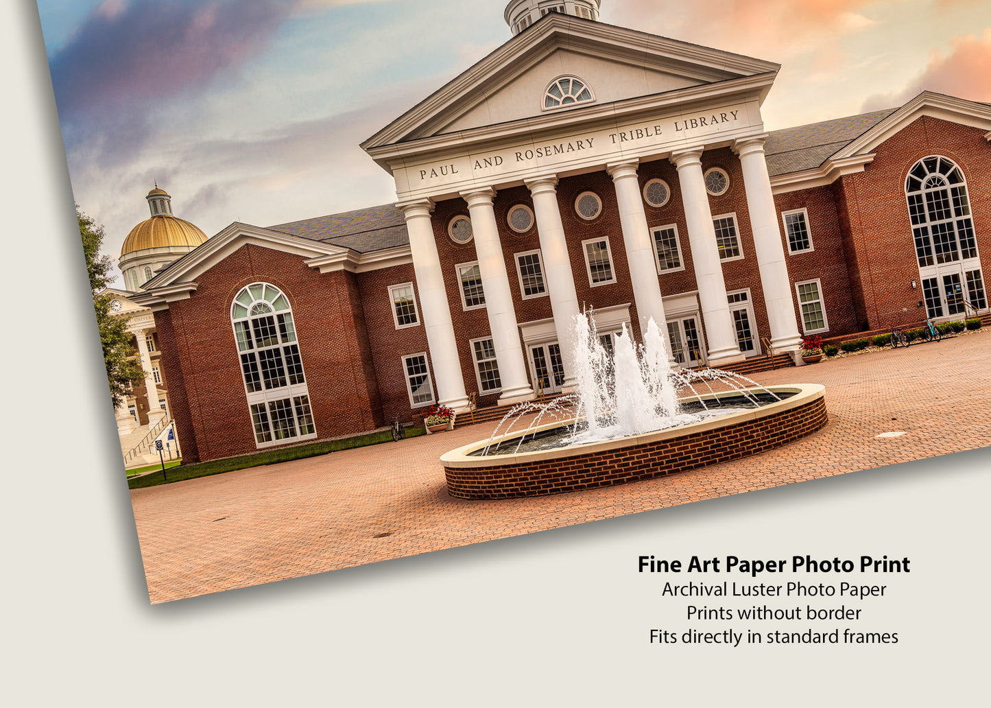 Morning at Trible Library