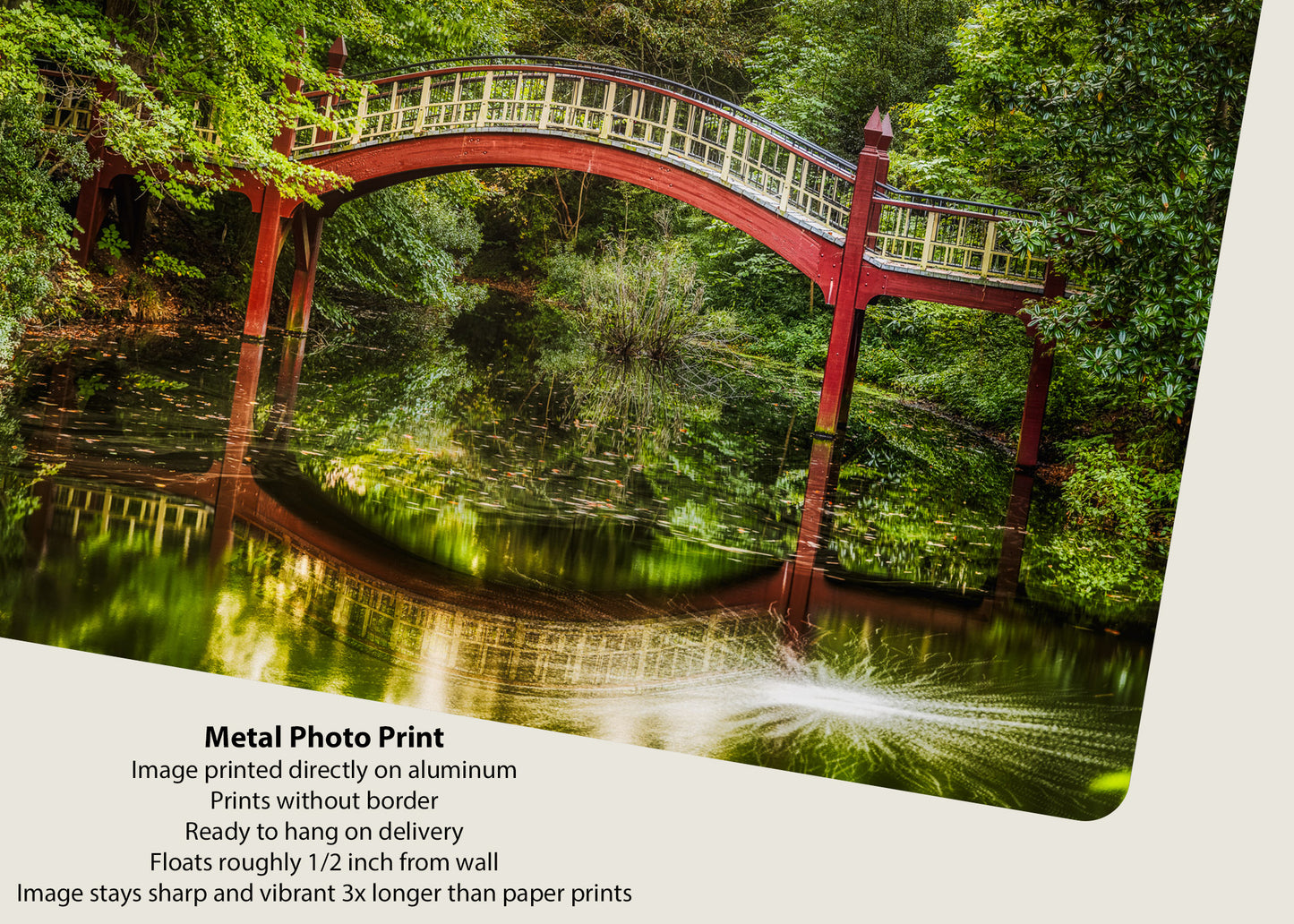 Crim Dell Reflections