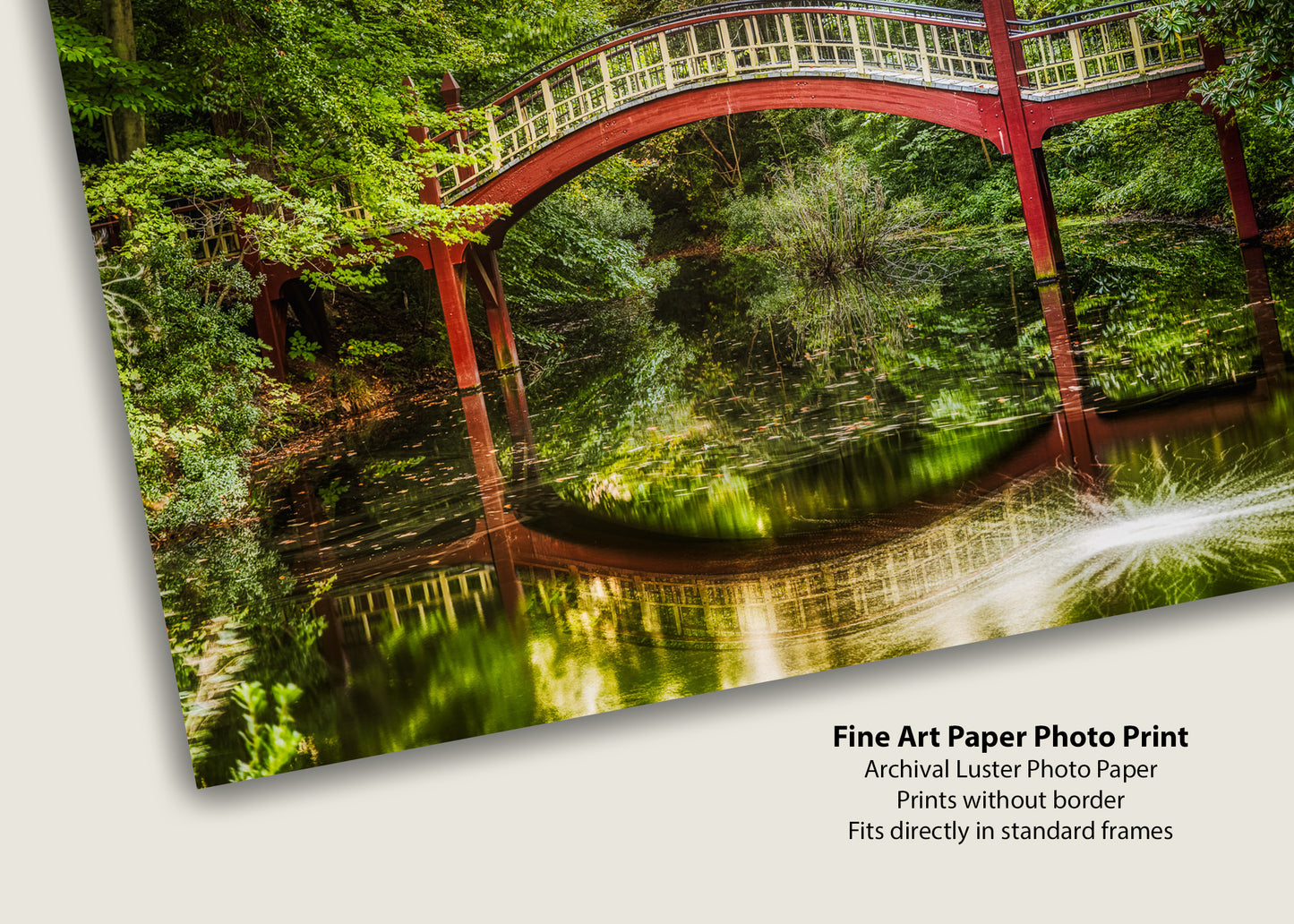 Crim Dell Reflections