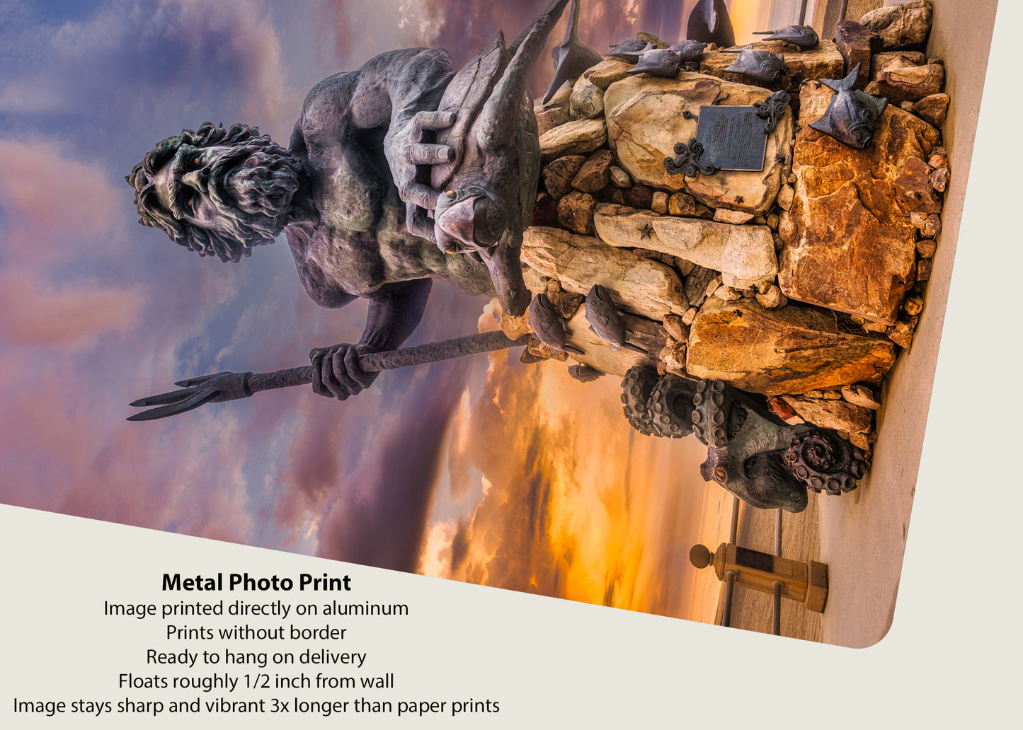 The King and His Turtle