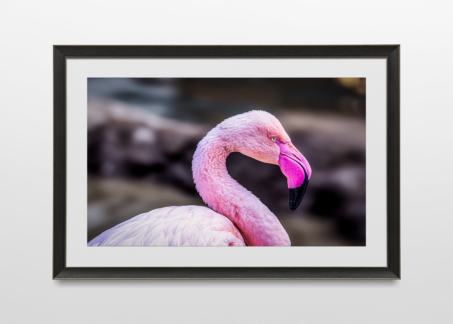The Pink Profile