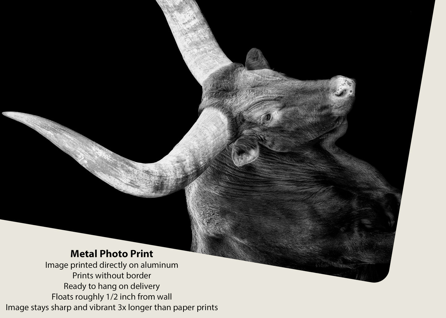 Watusi en la oscuridad