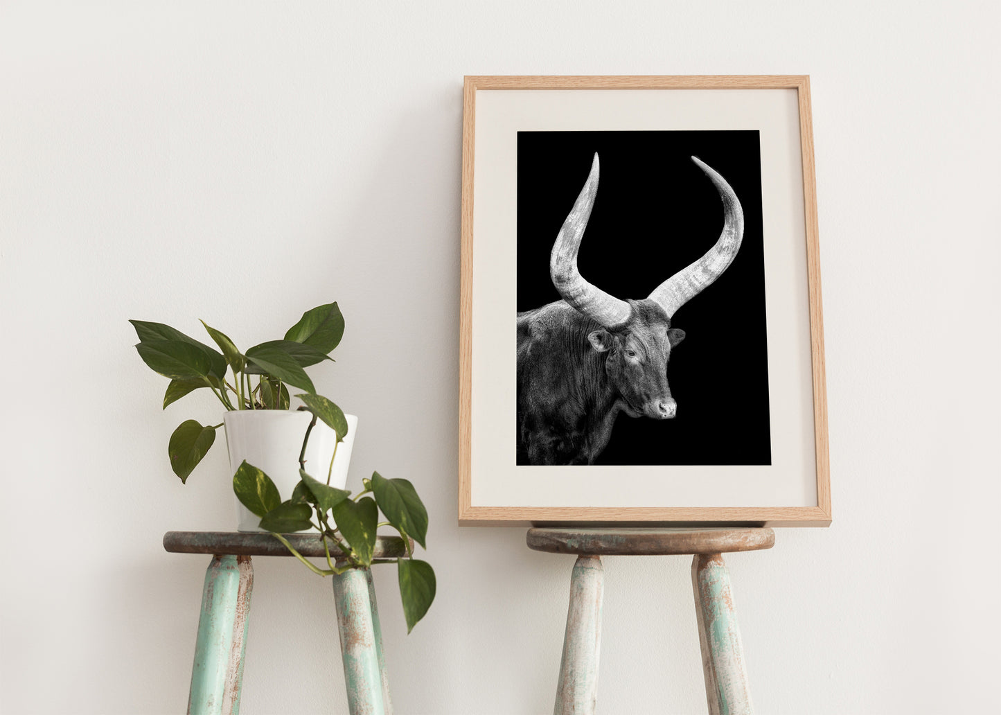 Watusi en la oscuridad