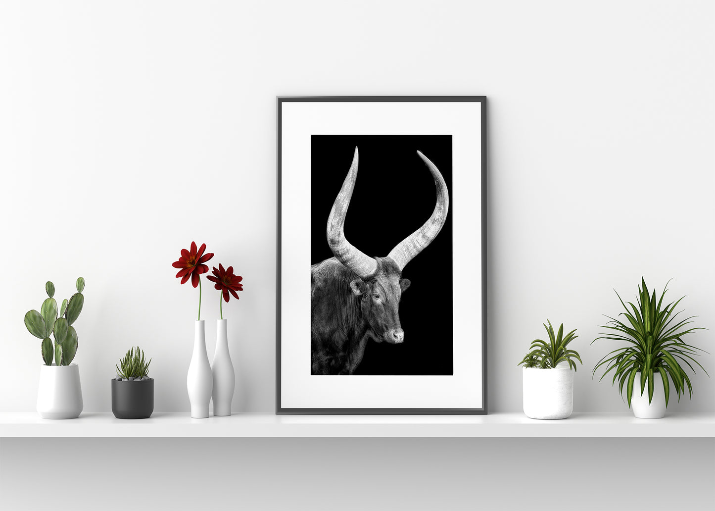 Watusi en la oscuridad