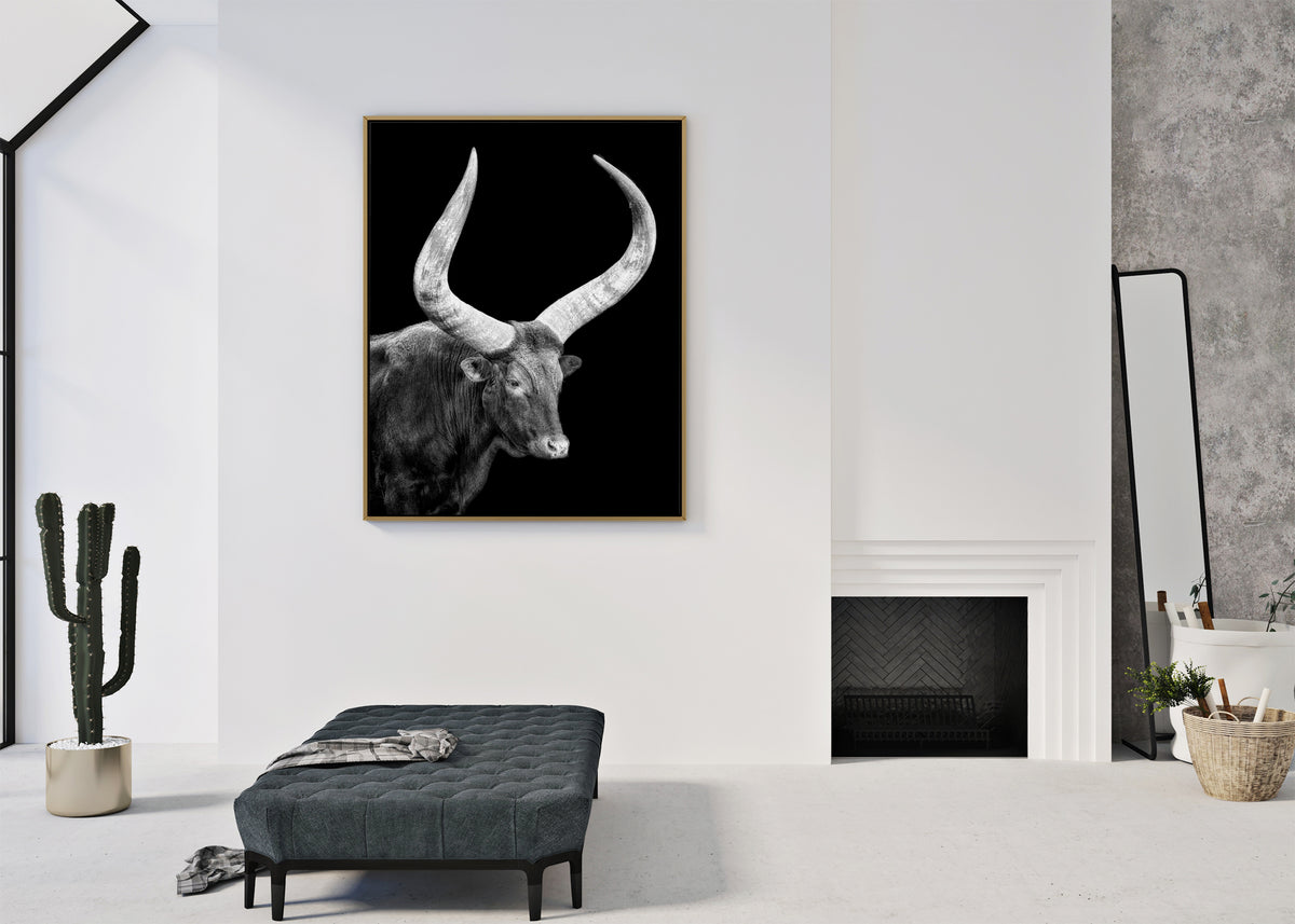 Watusi in the Dark