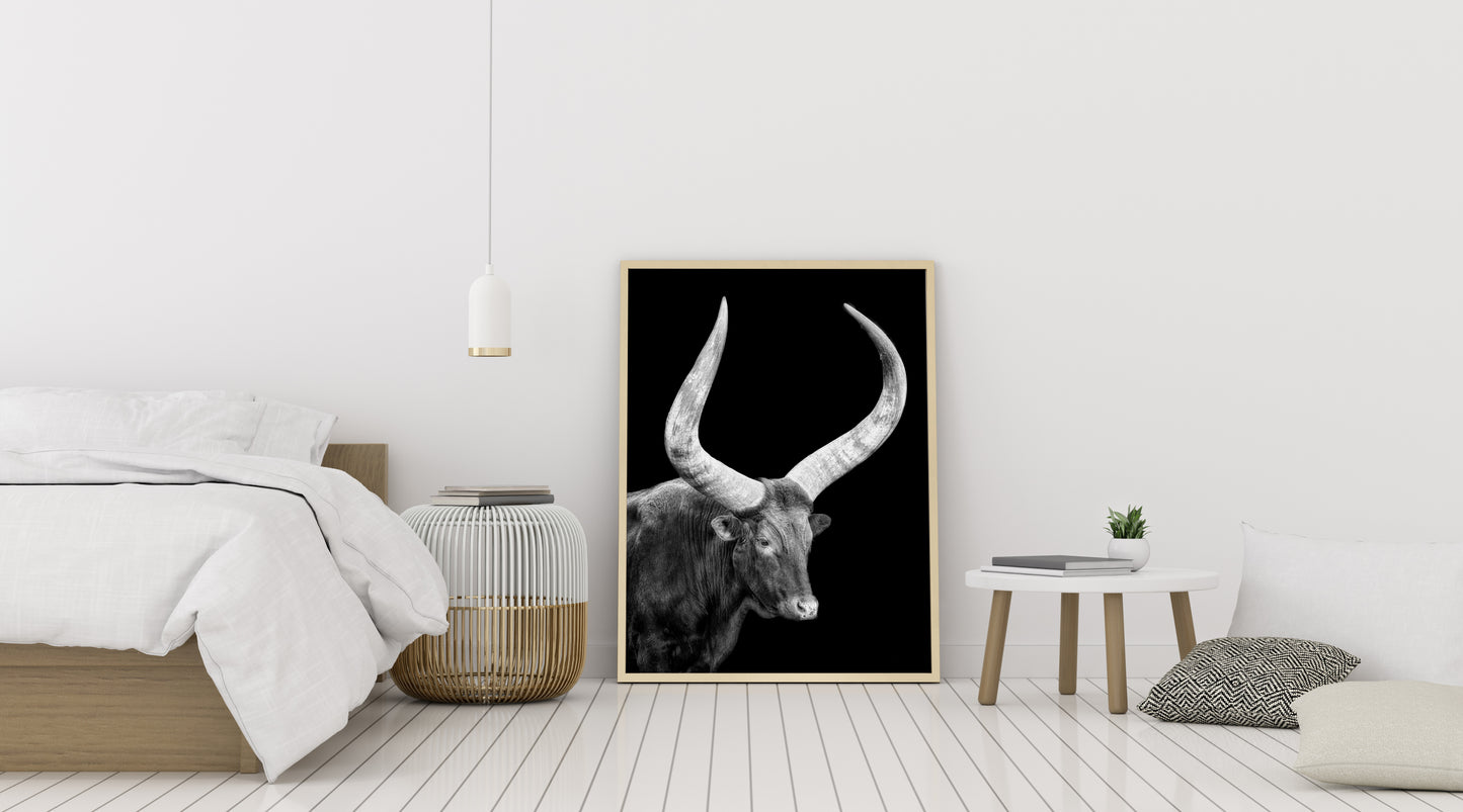 Watusi en la oscuridad