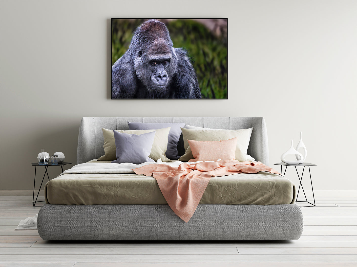 El lomo plateado vigilante