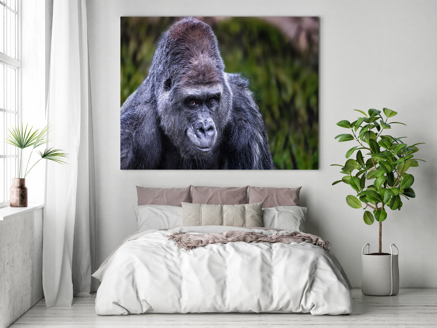 El lomo plateado vigilante