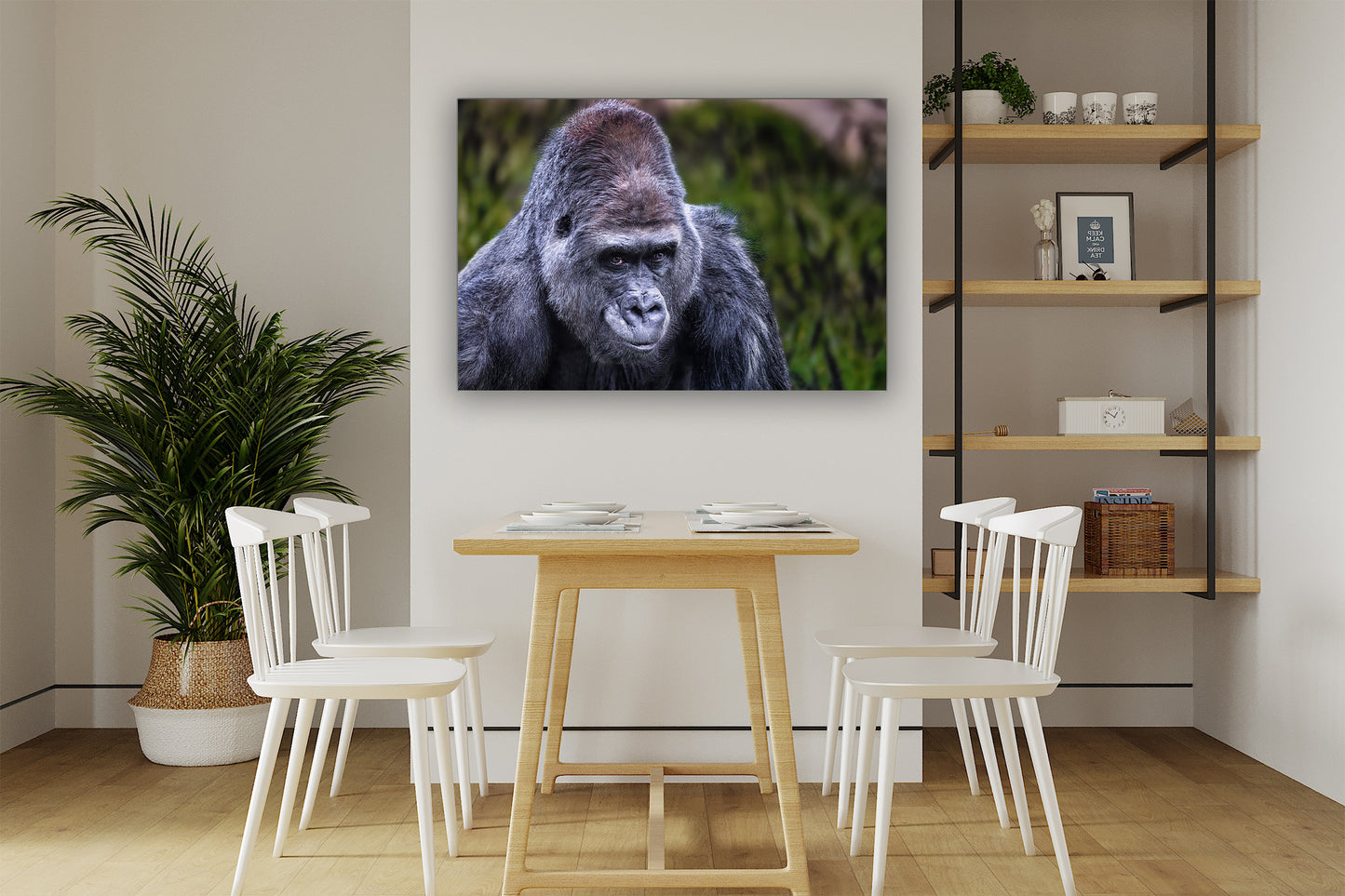 El lomo plateado vigilante