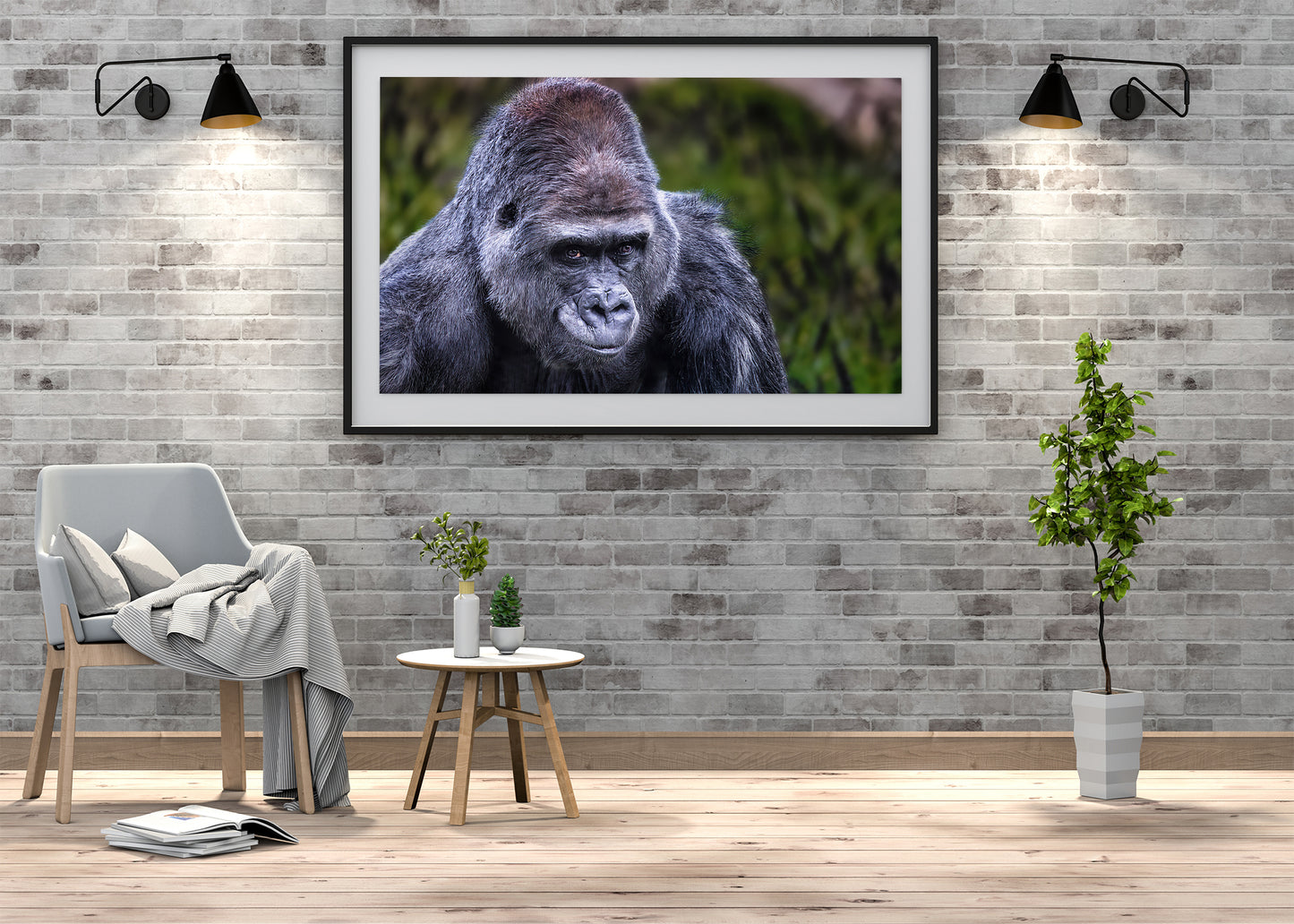 El lomo plateado vigilante