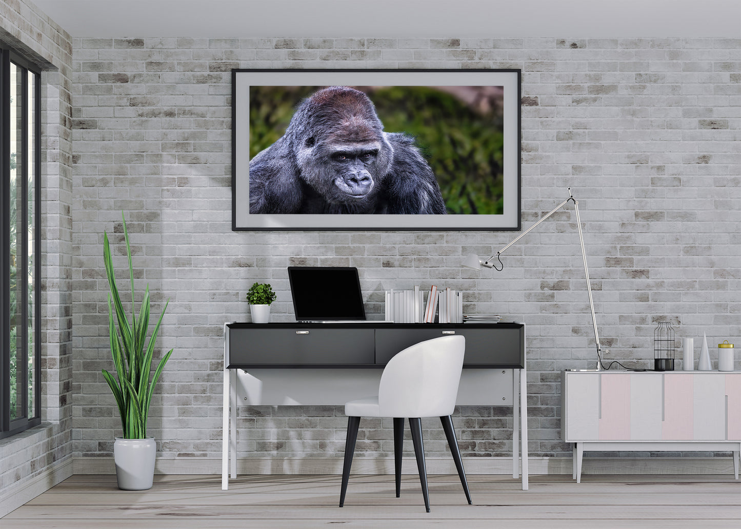 El lomo plateado vigilante