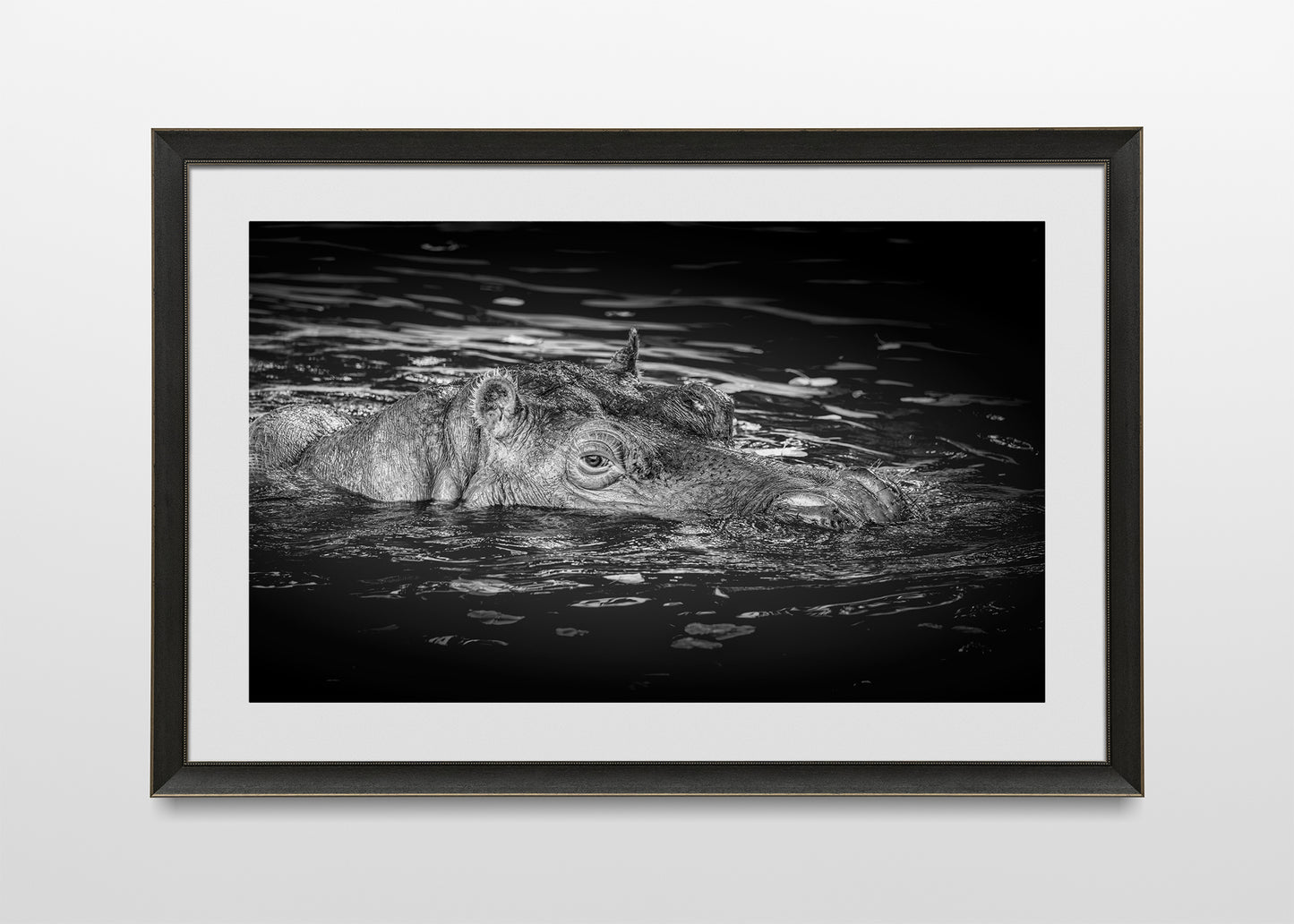 La punta del hipopótamo