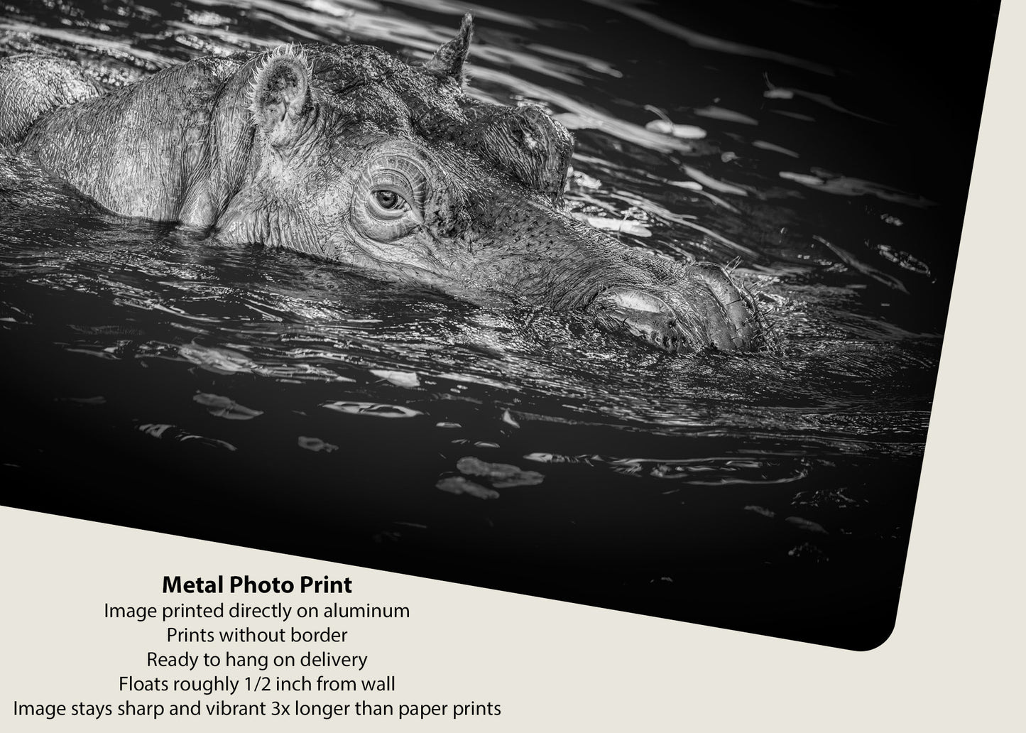 La punta del hipopótamo