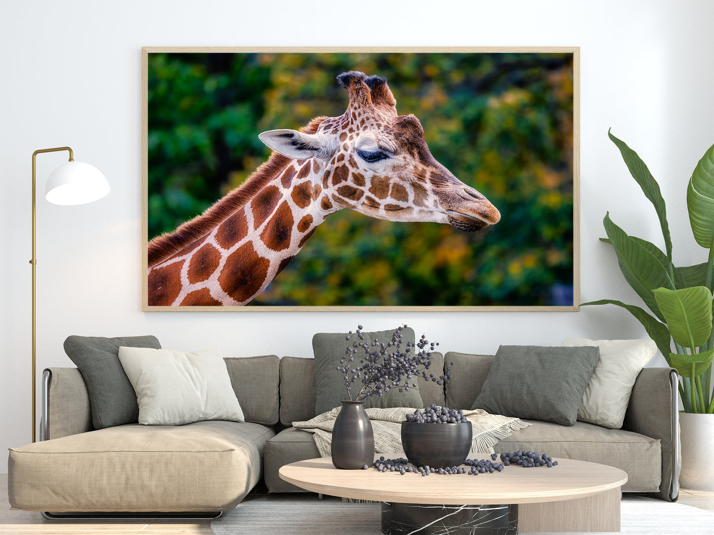 Giraffe in Profile