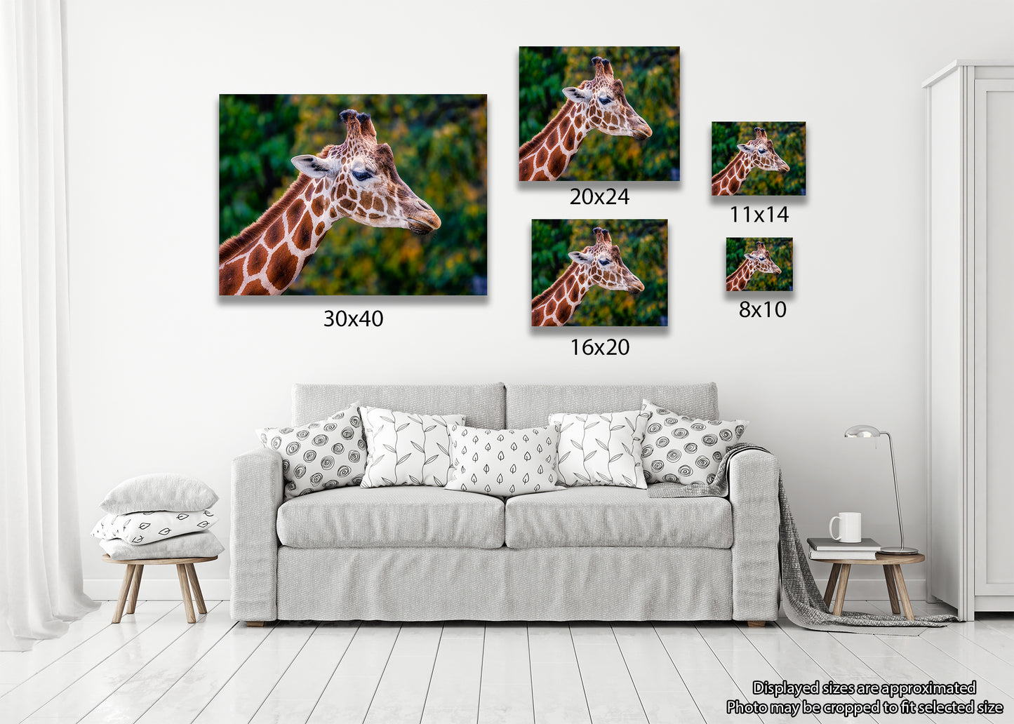 Giraffe in Profile