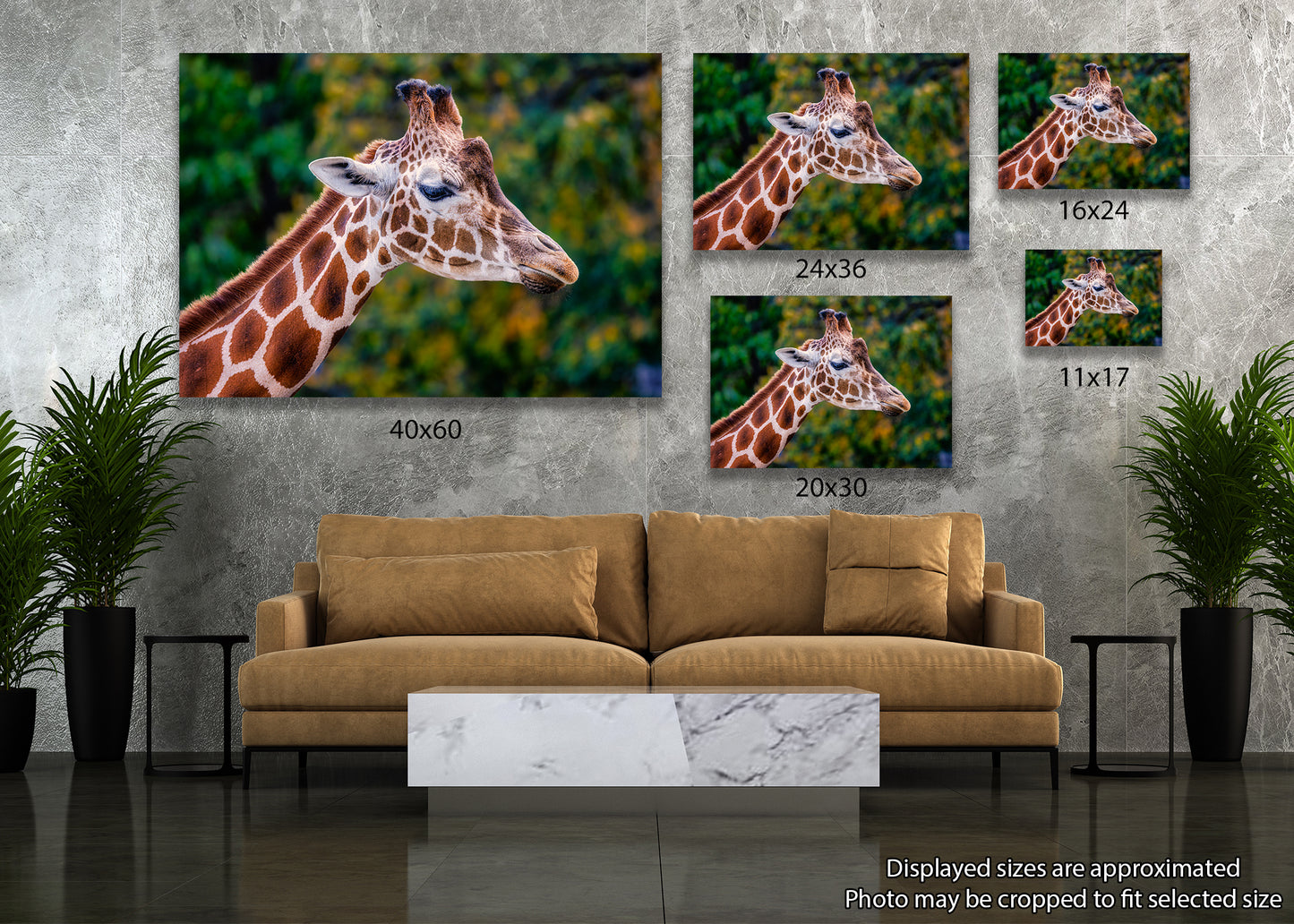 Giraffe in Profile