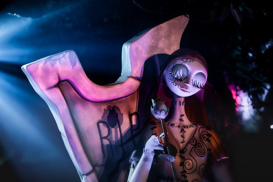 Sally en las sombras