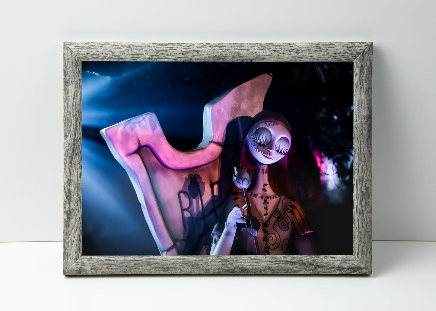 Sally en las sombras