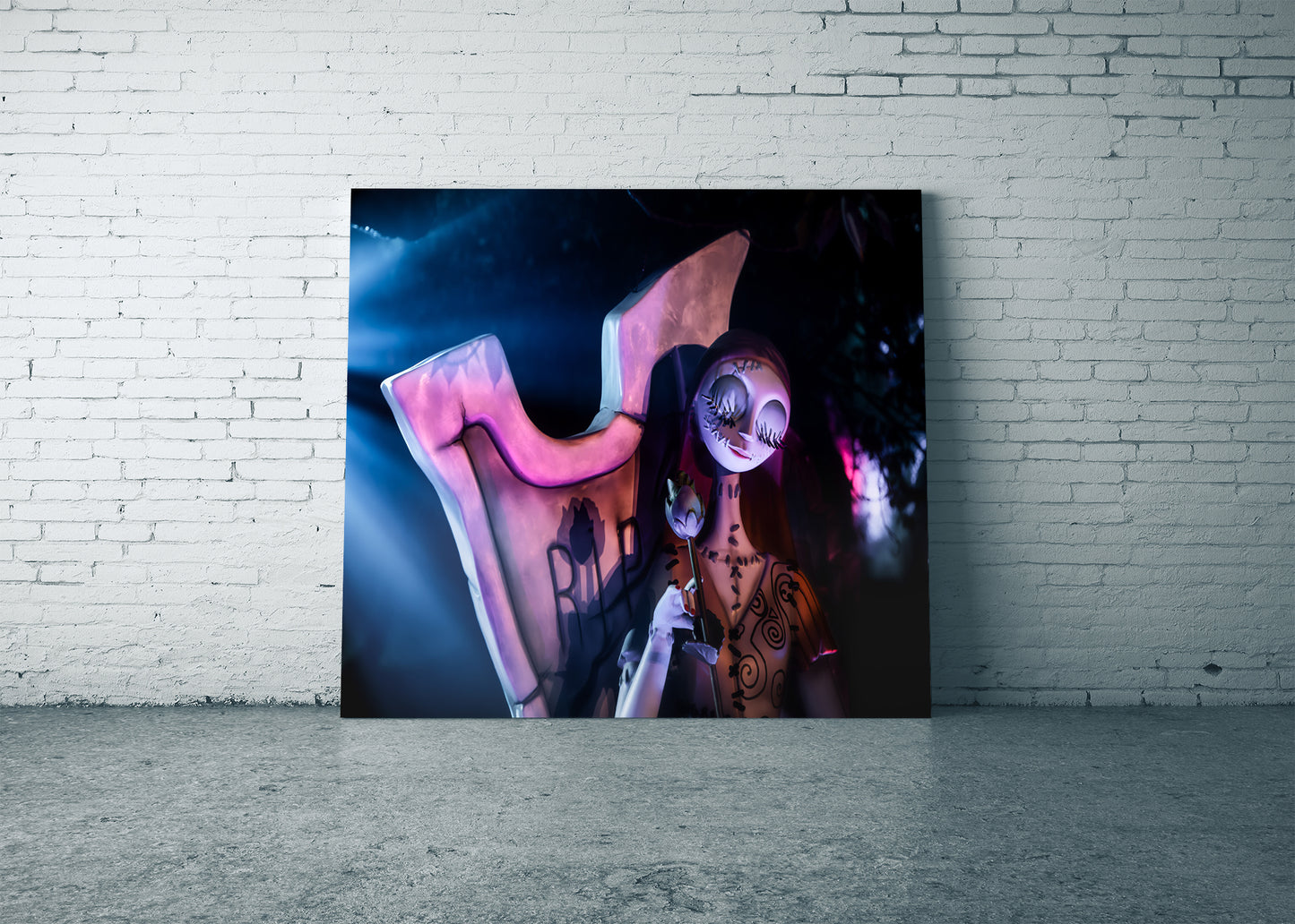 Sally en las sombras