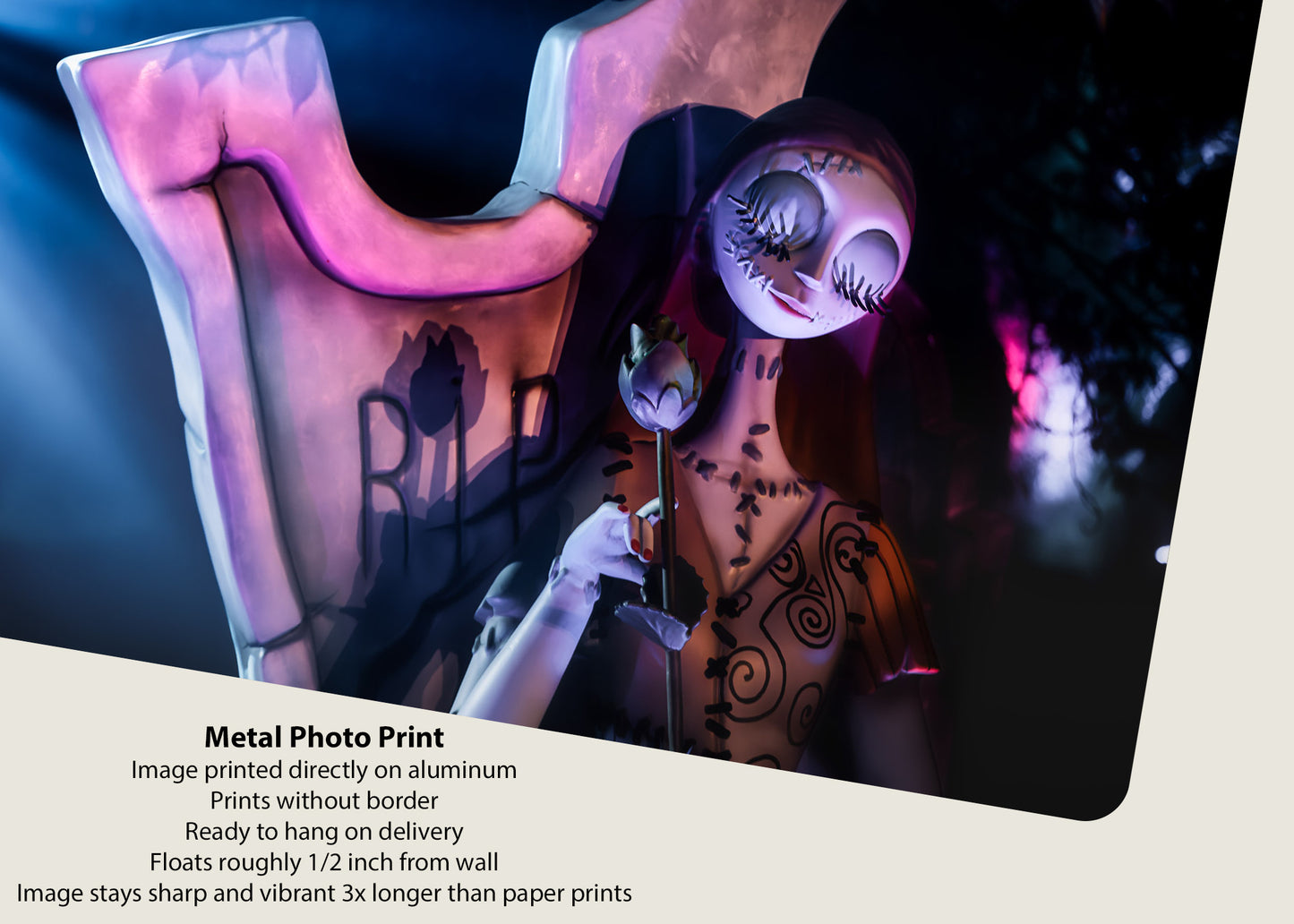 Sally en las sombras