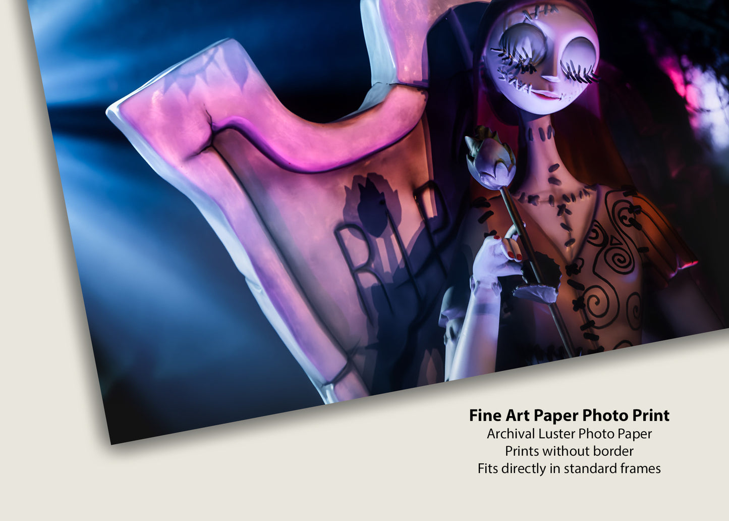 Sally en las sombras