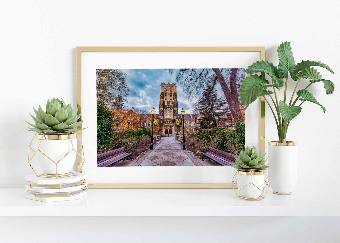 Lehigh bajo la luz del otoño