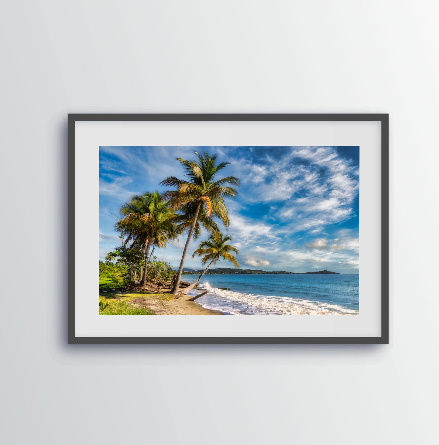 Blue Sky Over Puerto Rican Palms