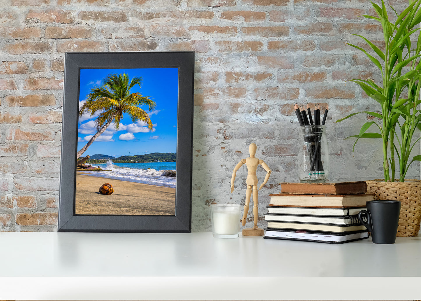 Coconut Beneath Caribbean Palms