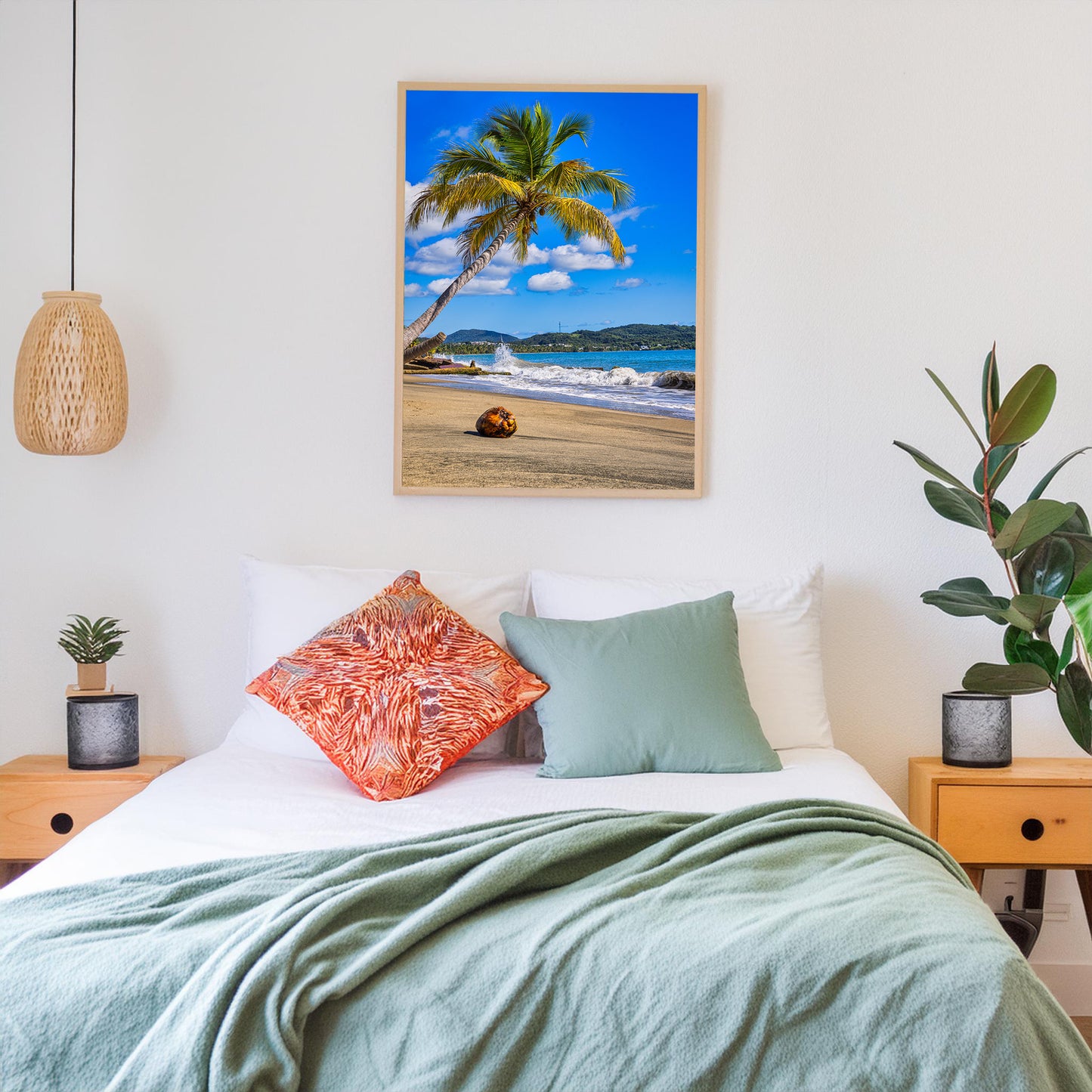 Coconut Beneath Caribbean Palms