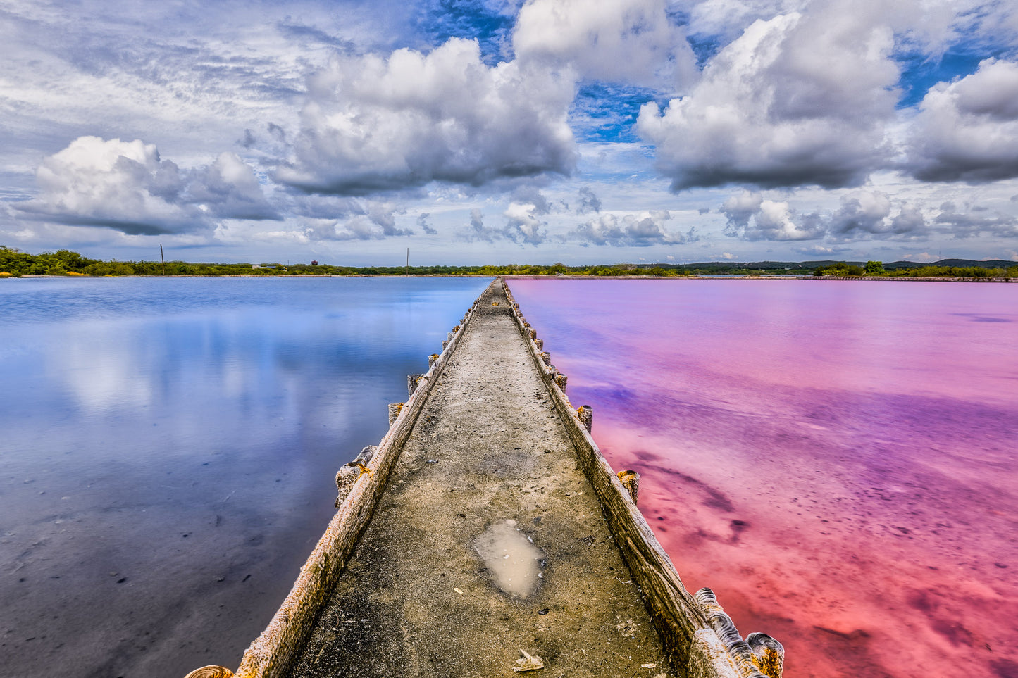 Caribbean Contrast in Cabo Rojo