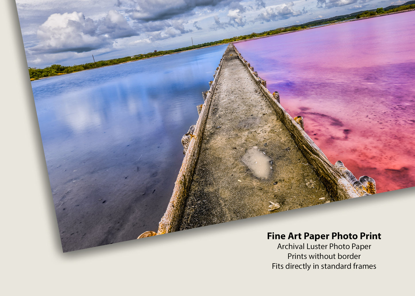 Caribbean Contrast in Cabo Rojo