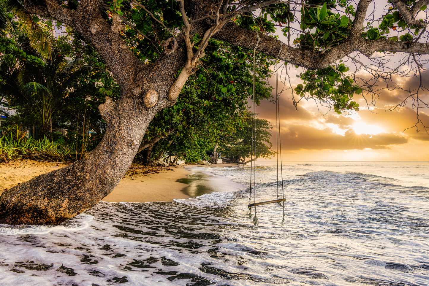 Caribbean Swing at Dawn