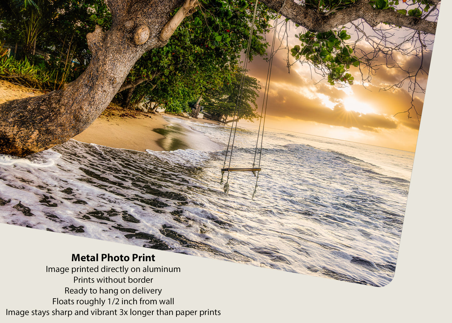 Caribbean Swing at Dawn