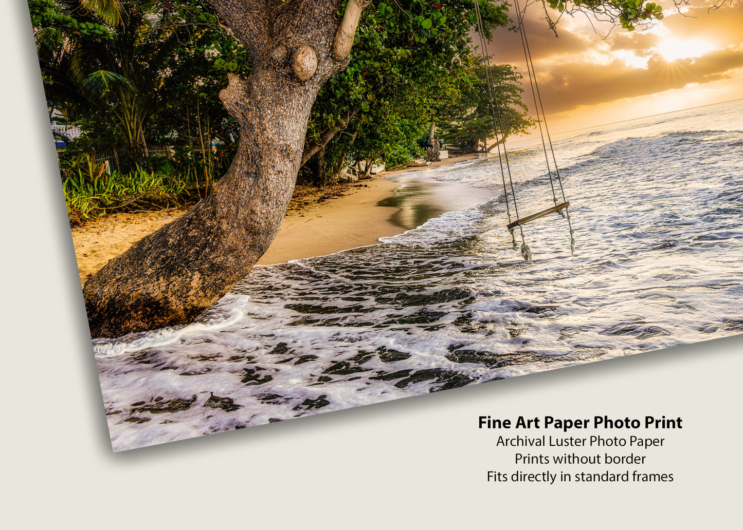 Caribbean Swing at Dawn