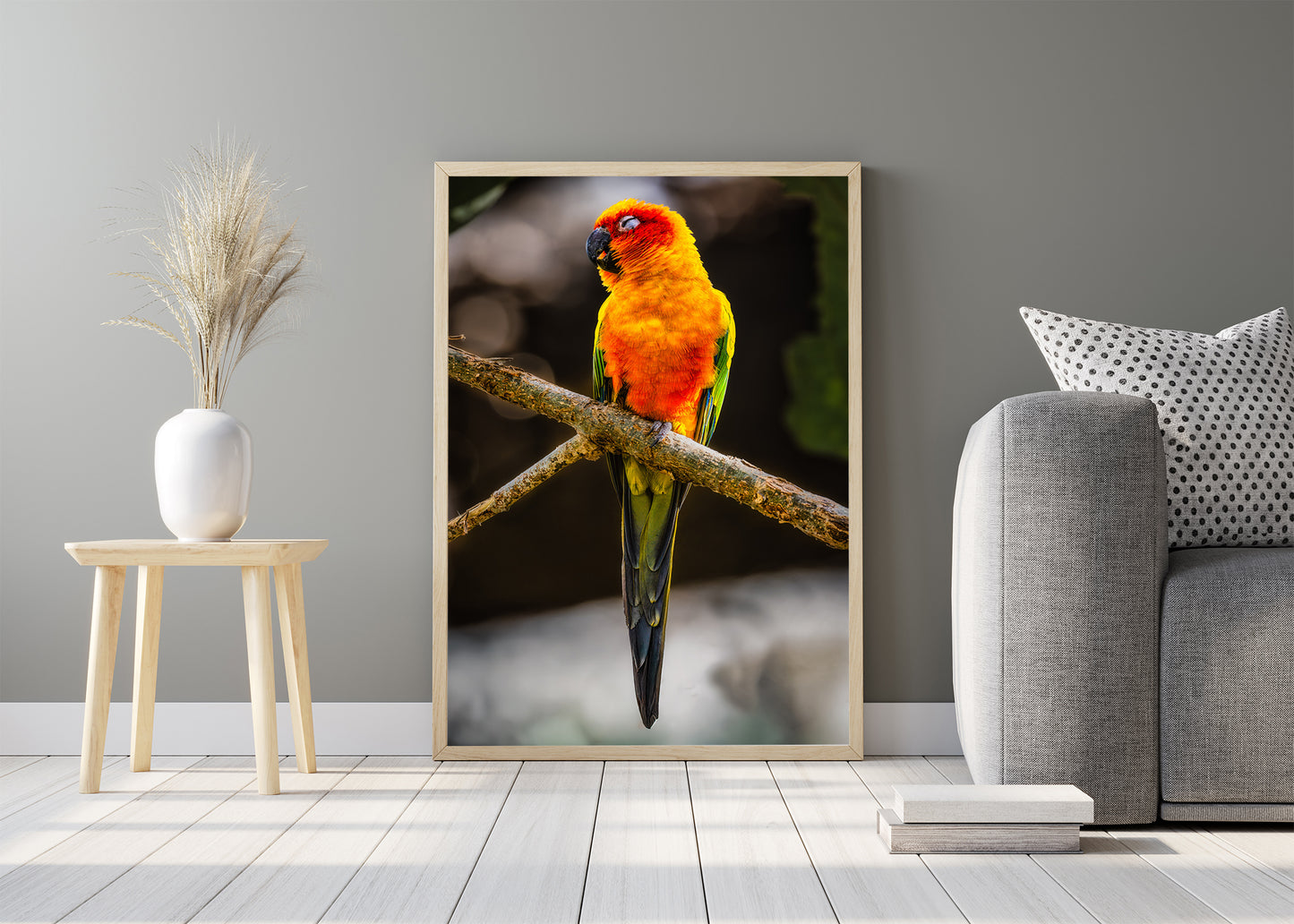 Sun Parakeet Portrait