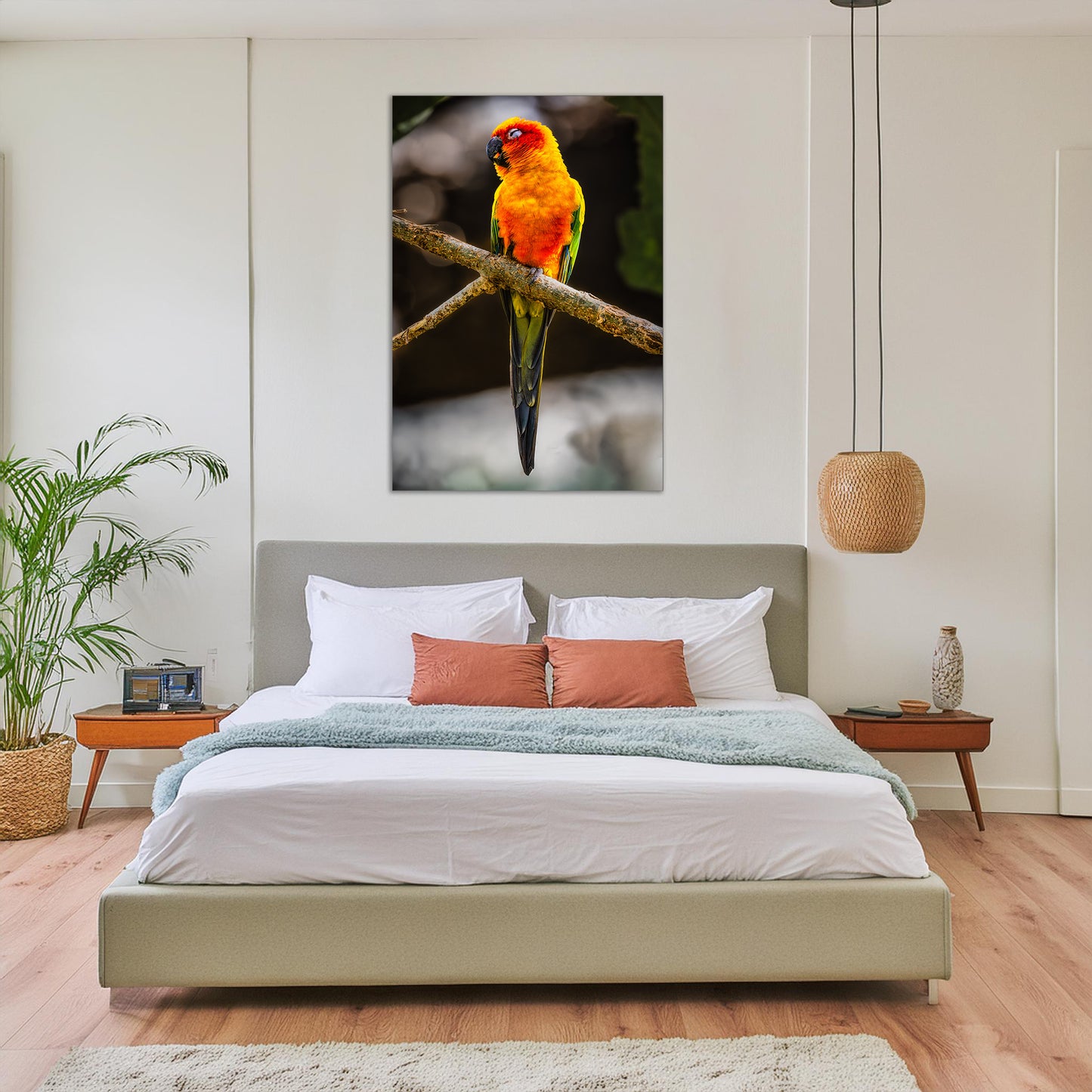 Sun Parakeet Portrait