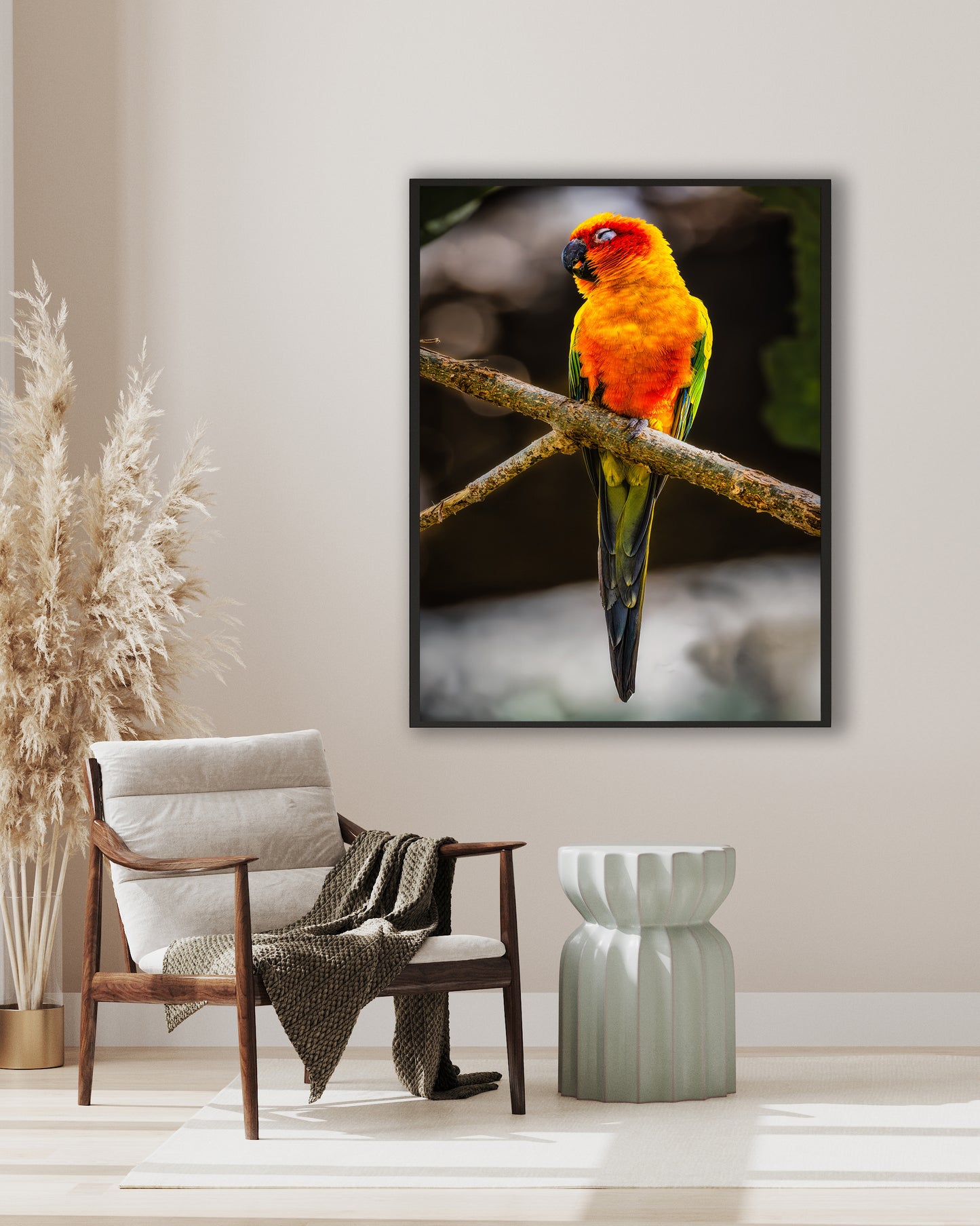 Sun Parakeet Portrait