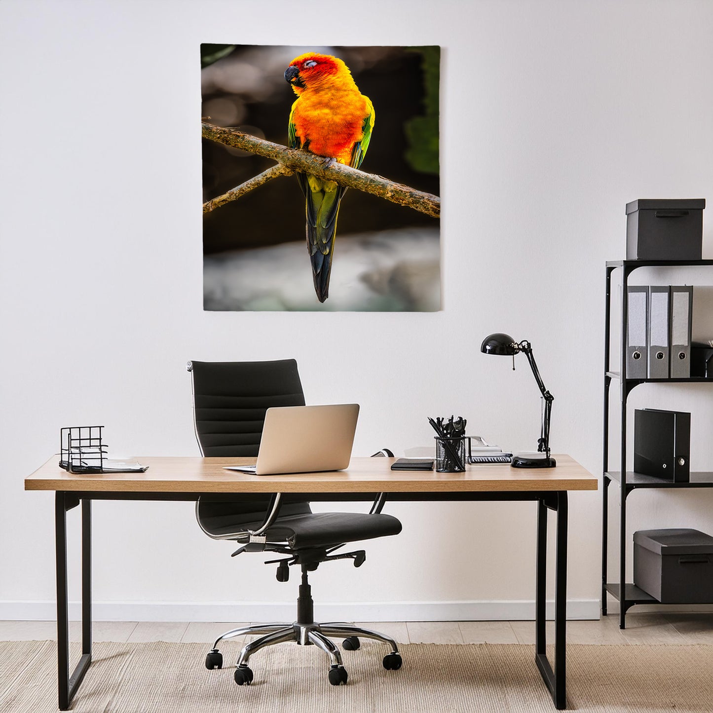 Sun Parakeet Portrait