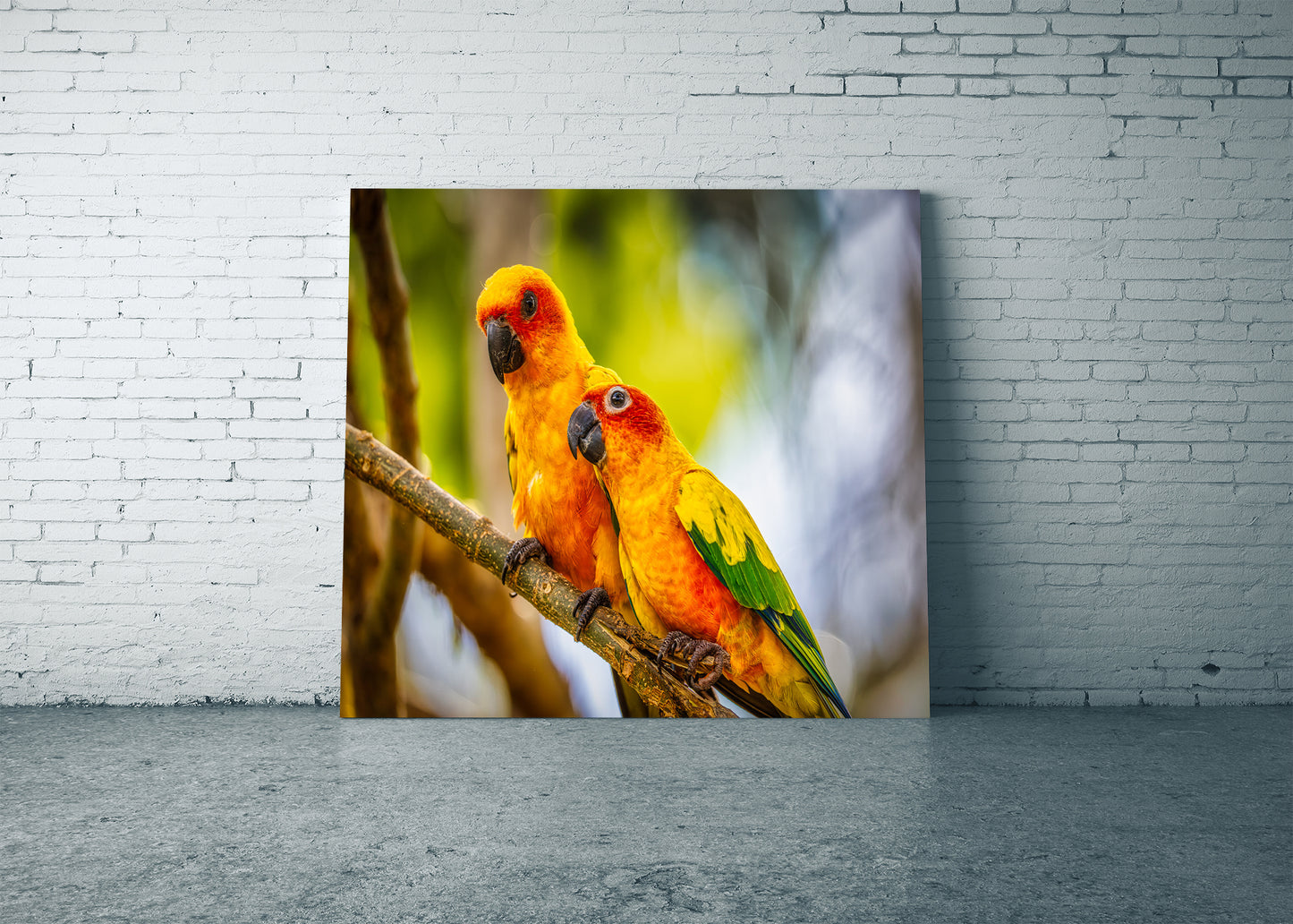 Paired Parrots in Puerto Rico